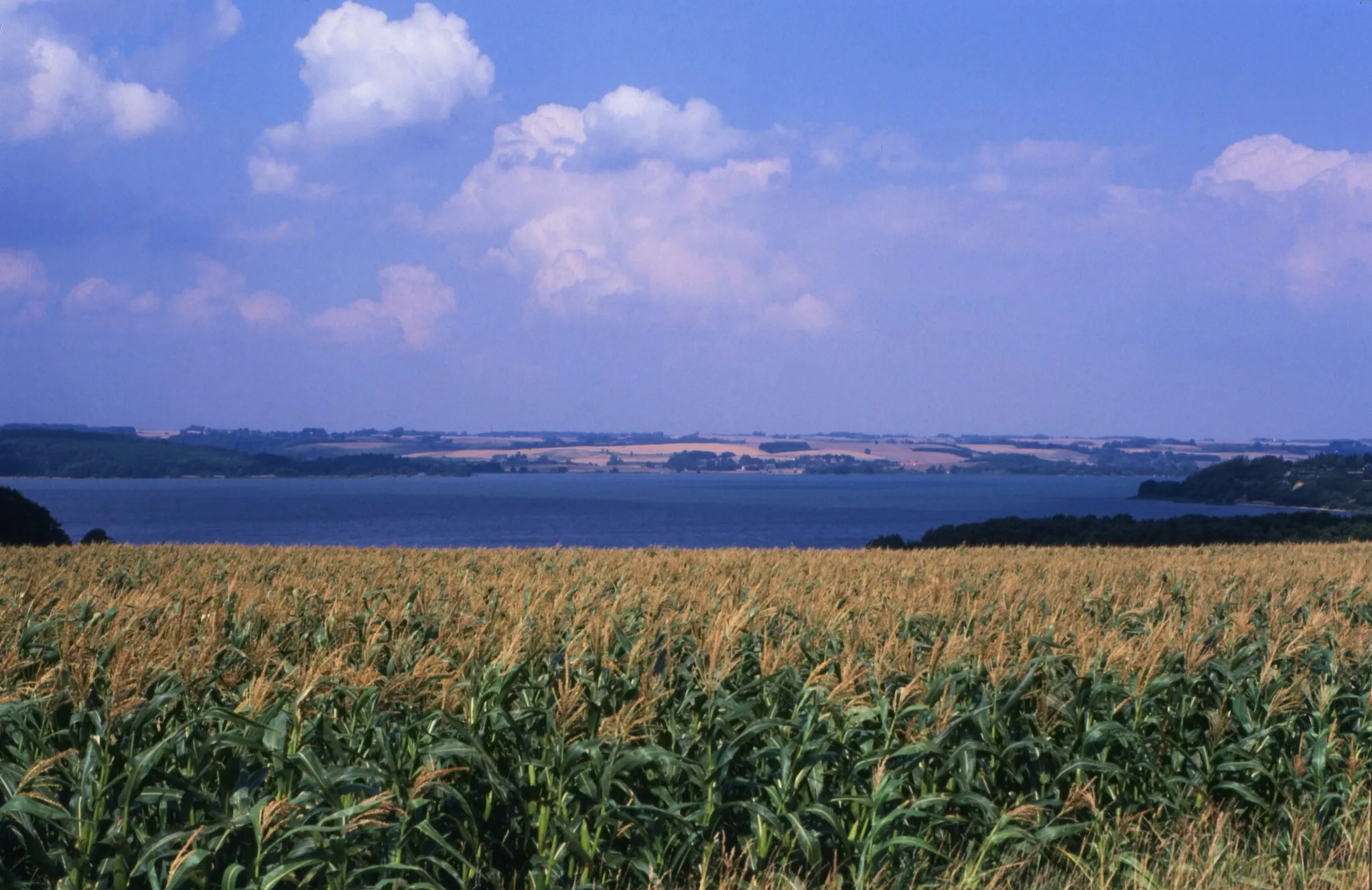 Photo showing: Am Mossø, Jütlands/Dänemark.