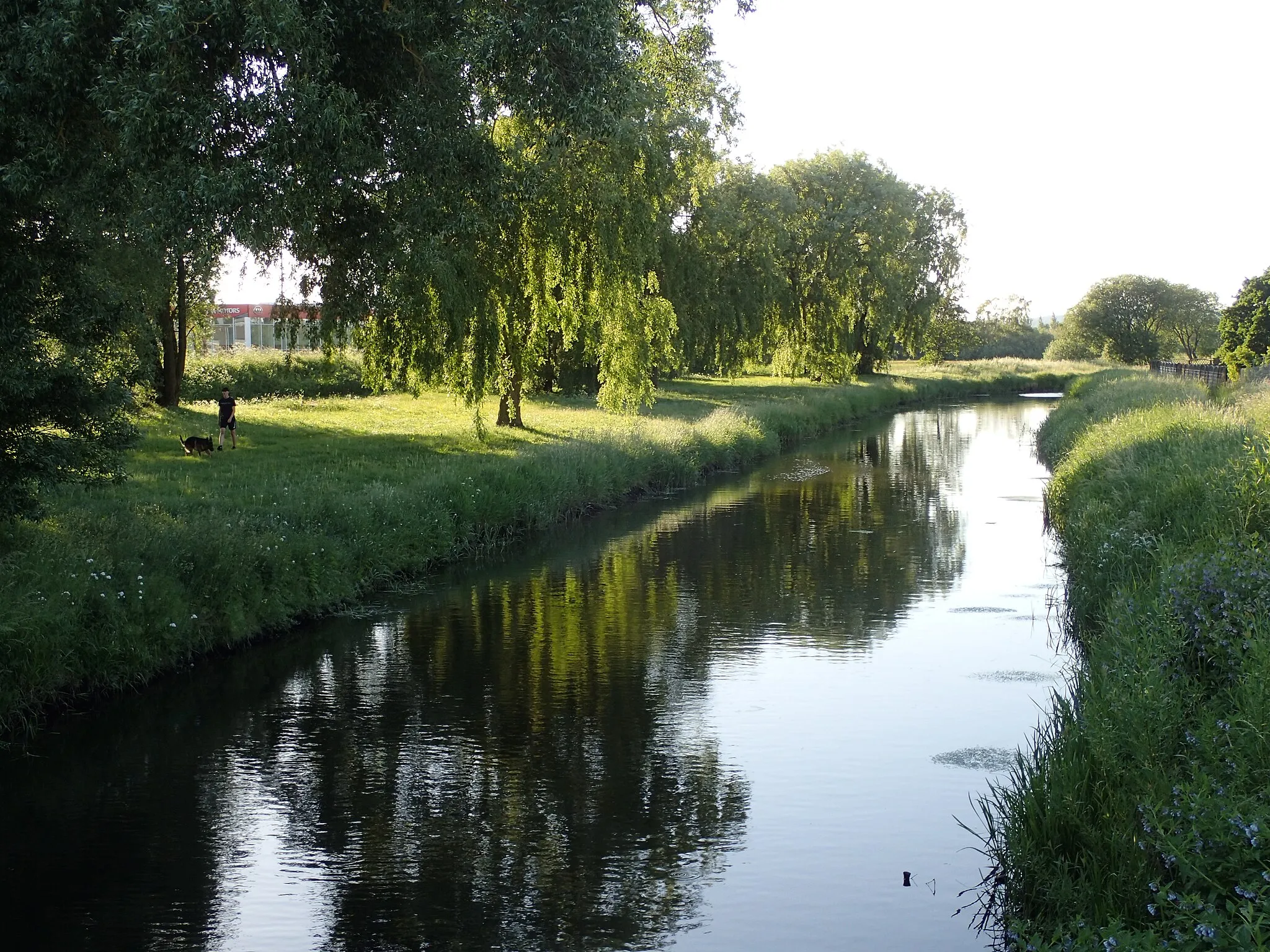 Photo showing: Egåen i maj, lige før underløbet ved Grenåvej.