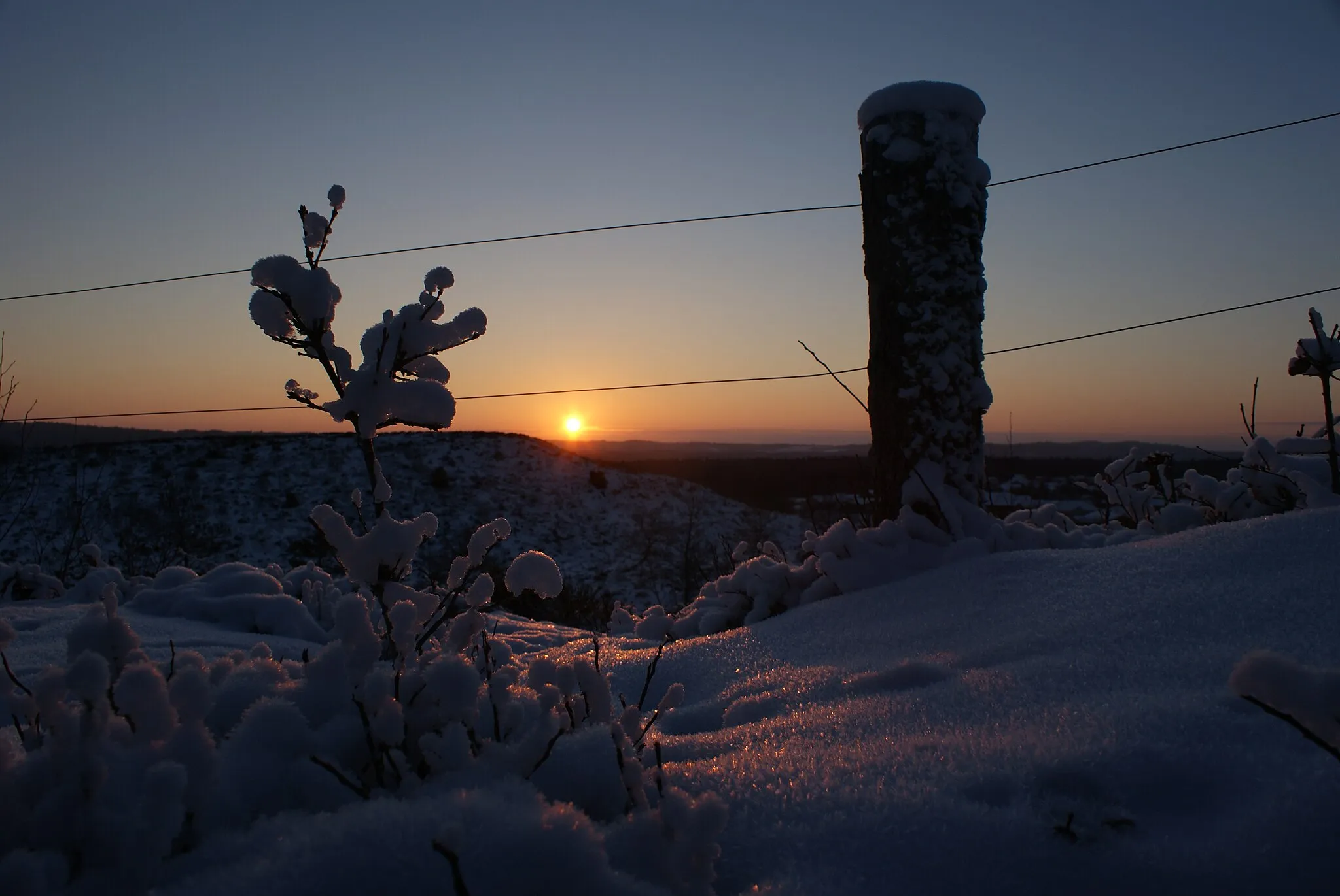 Photo showing: Solnedgang i sne