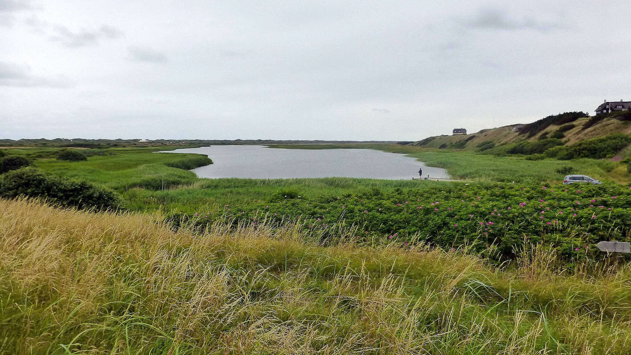 Photo showing: Det tidligere udløb fra Ringkøbing Fjord ved Nymindegab