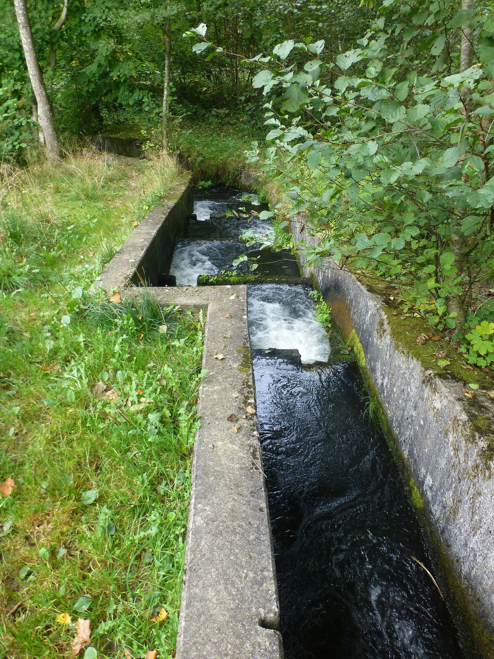 Photo showing: Jeksen Bæk, fisketrappe  ved resterne af  Kollens Mølle