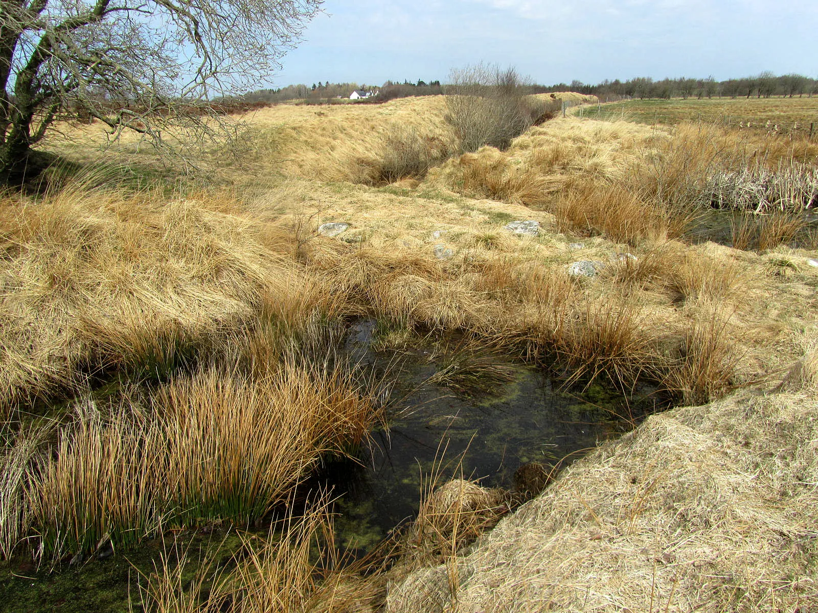 Photo showing: Borremose, Den brolagte vej ind til fæstningsbyen