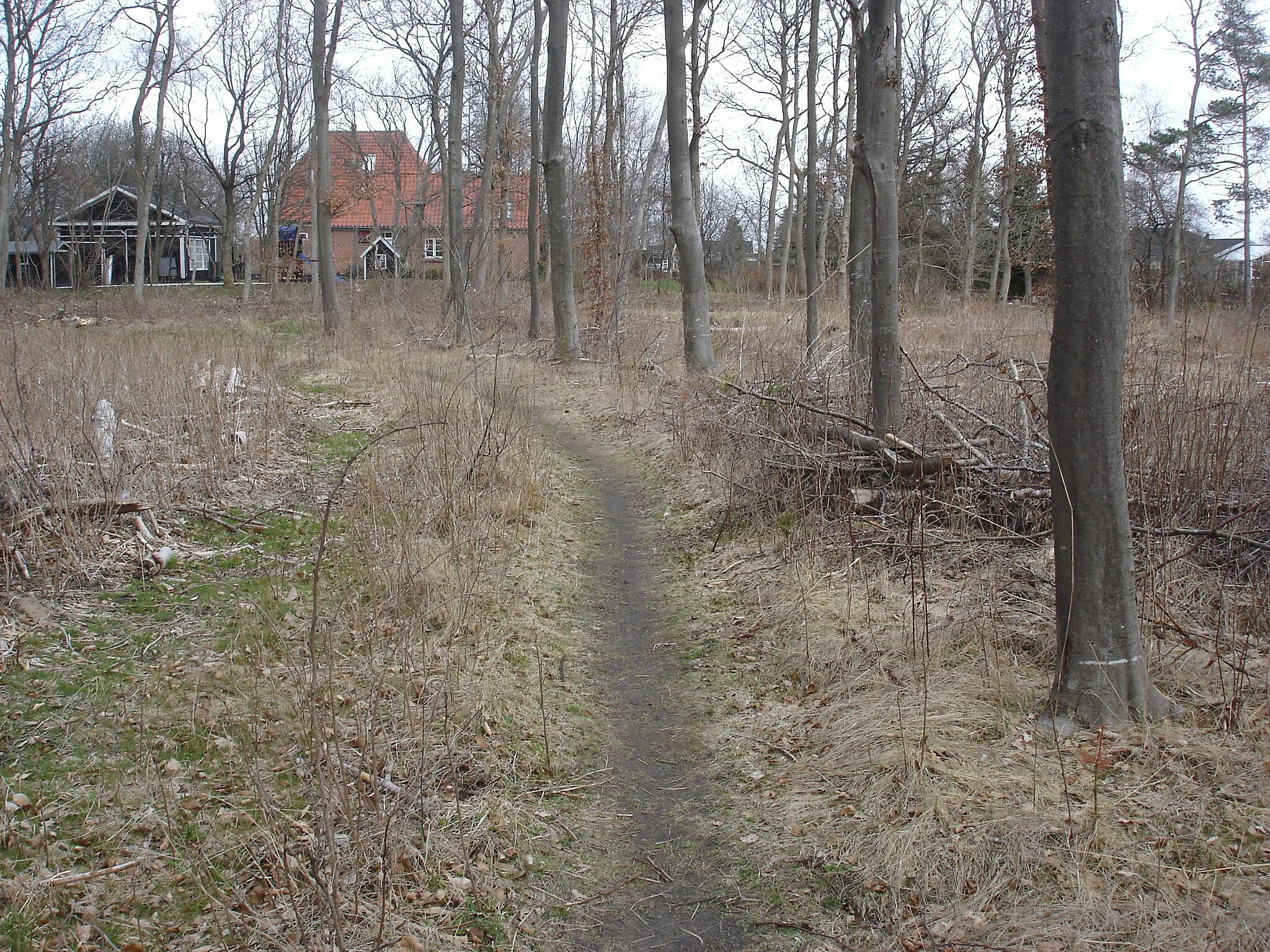 Photo showing: Banestien fra Vodskov slutter ved Uggerhalne Station, som tracéet gik højre om