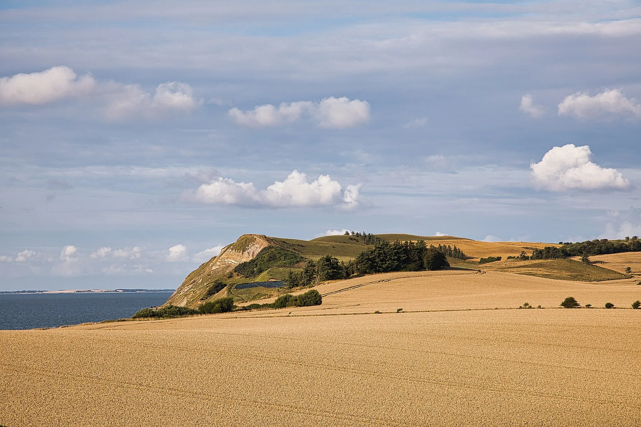 Photo showing: Blick zum 62m hohen Felsen Hanklit auf der dänischen Insel Mors im Limfjord.