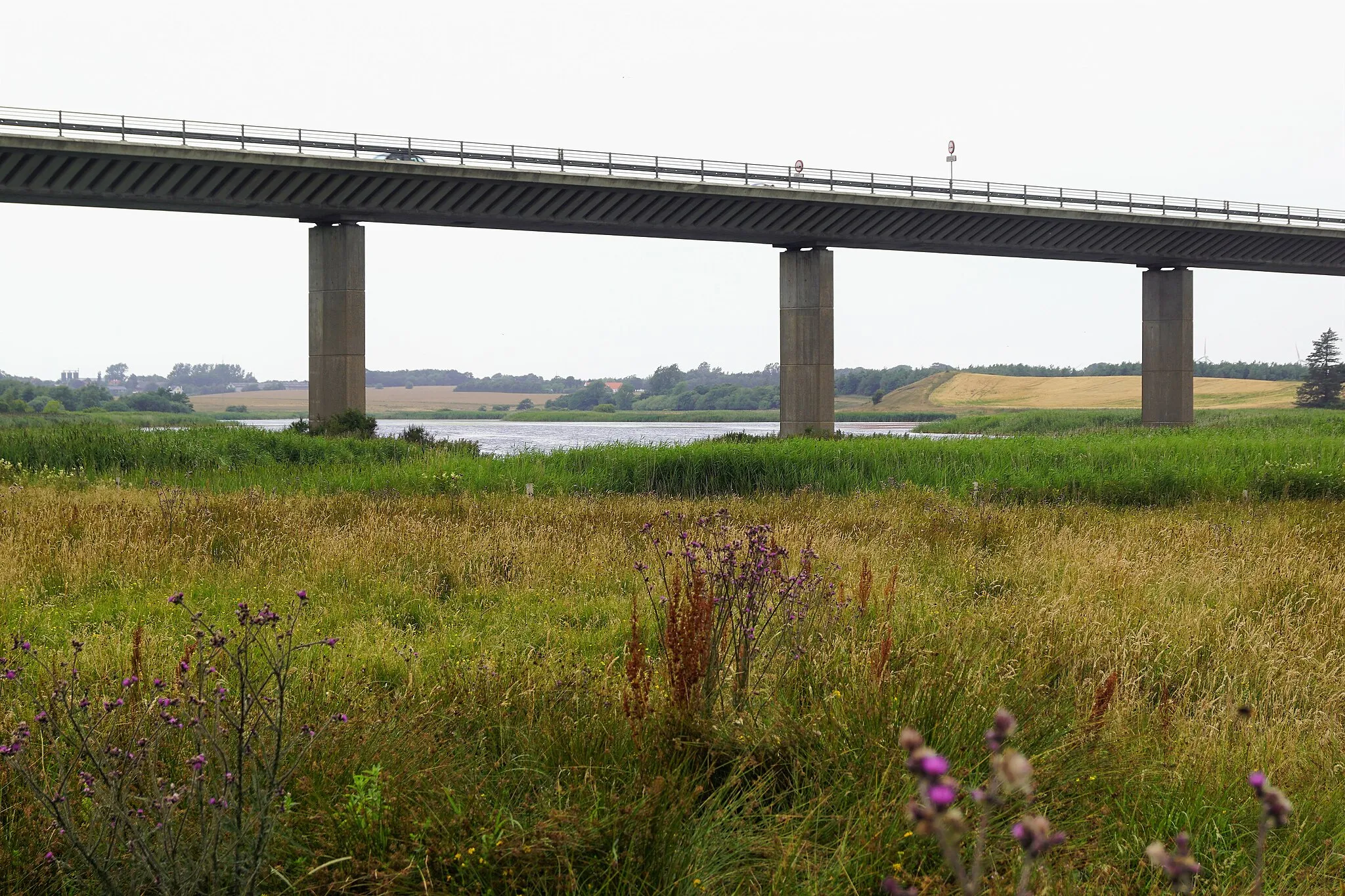 Photo showing: Legind Sø set fra øst med forlængelsen af Sallingsund-broen henover, og strandengene i forgrunden