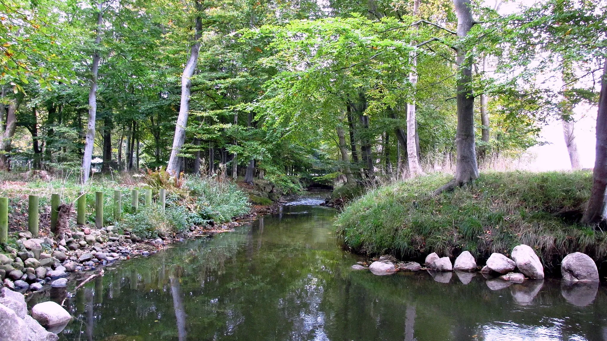 Photo showing: Hæstrup Møllebæk, a stream in northern Denmark