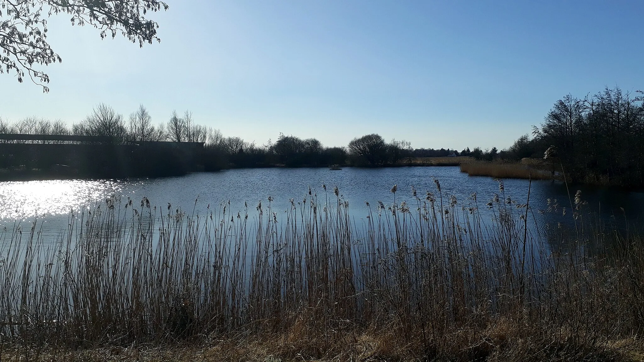 Photo showing: A small lake in Ilbro, Denmark