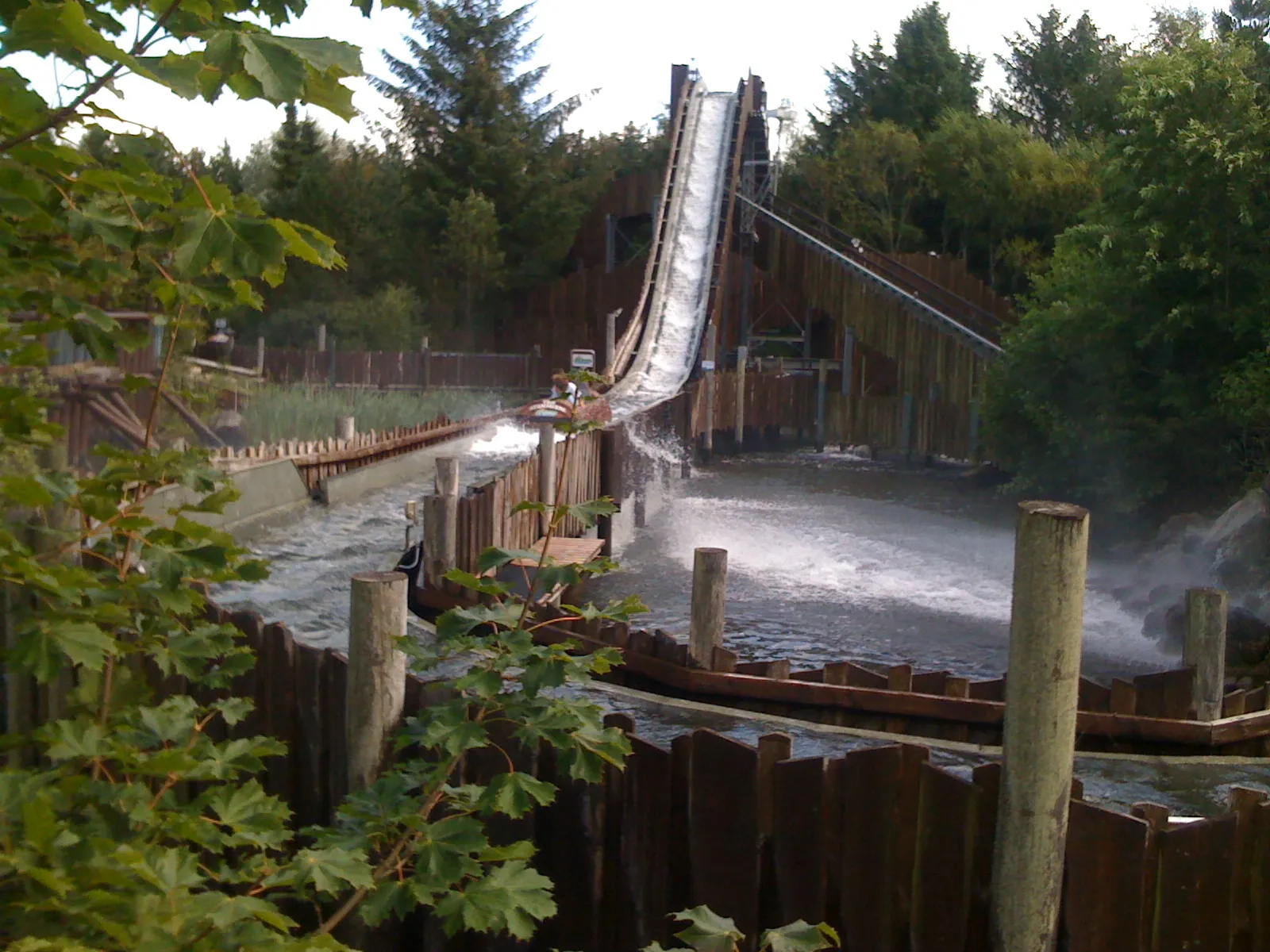 Photo showing: Træstammerne beim herunterfahren des größten Berges.