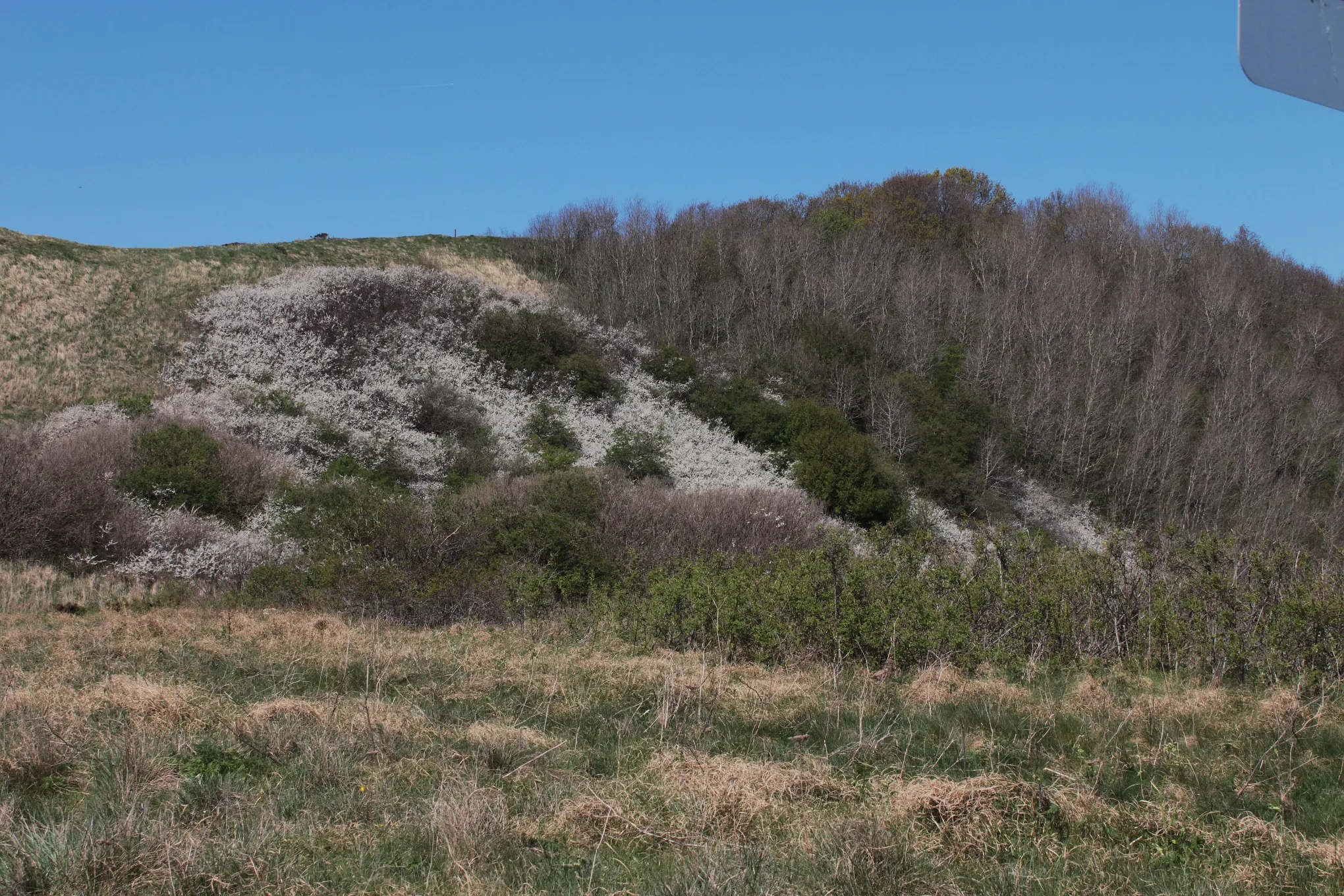 Photo showing: The moraine hills called "Mulbjerge", Denmark.