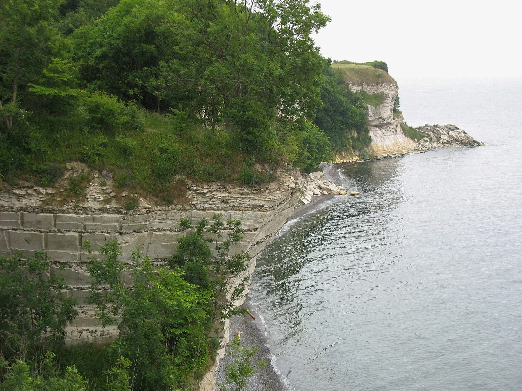 Photo showing: The cliff "Stevns Klint" located in South Zealand, east Denmark.