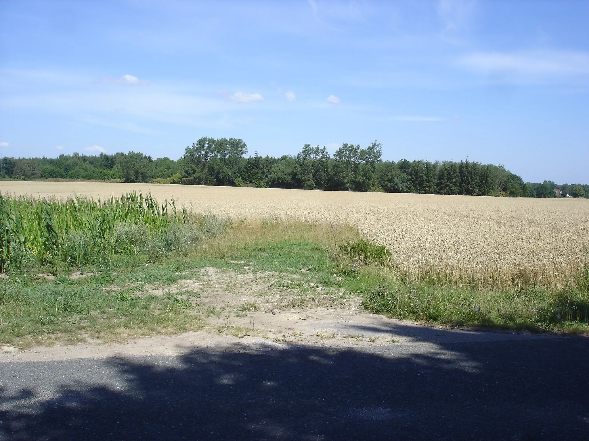 Photo showing: Et kort stykke af Mernbanens tracé hvor Skibinge trinbræt lå