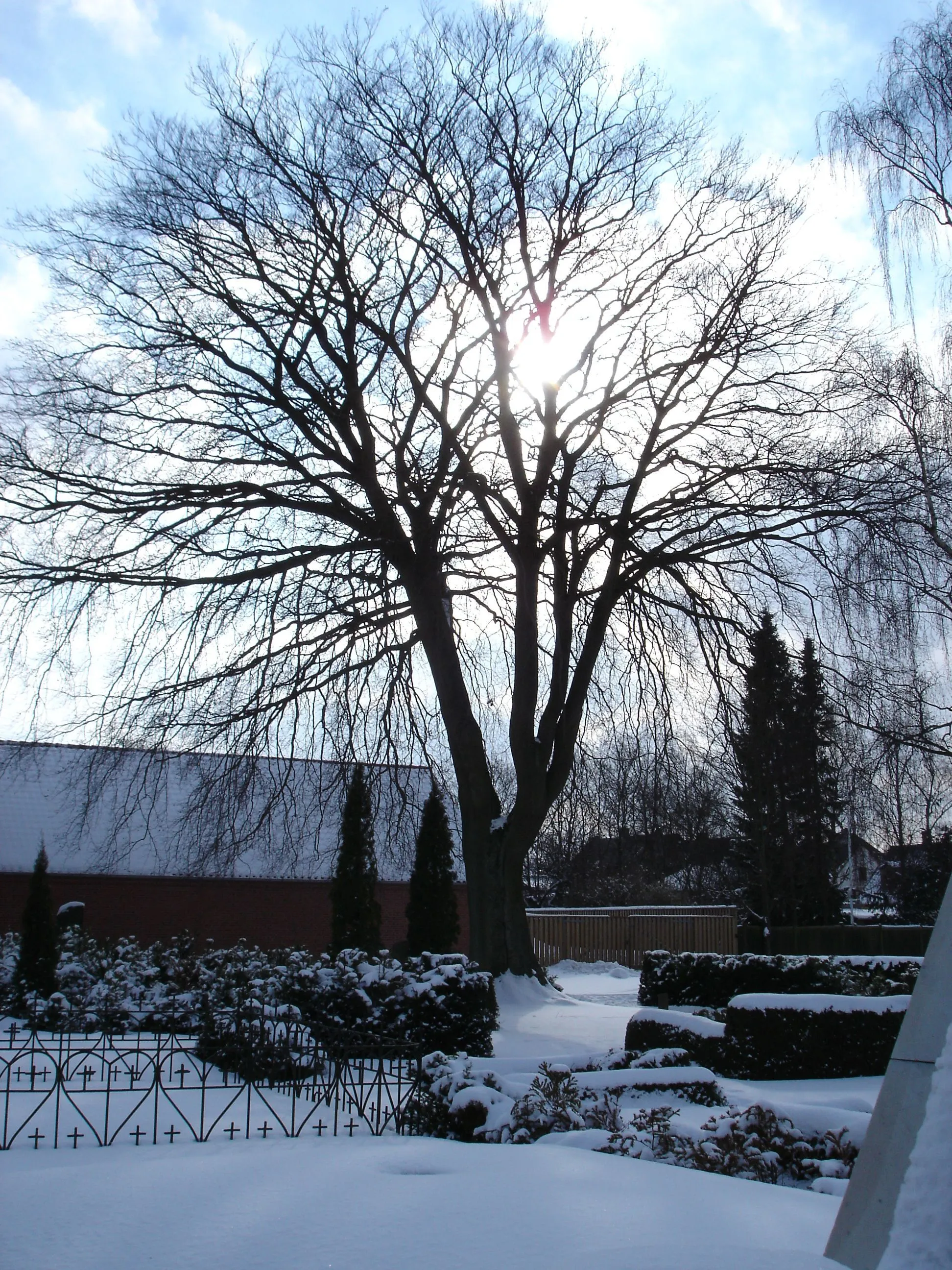 Photo showing: Cemetery in winter - Sct. Mikkels Kirkegård - Slagelse