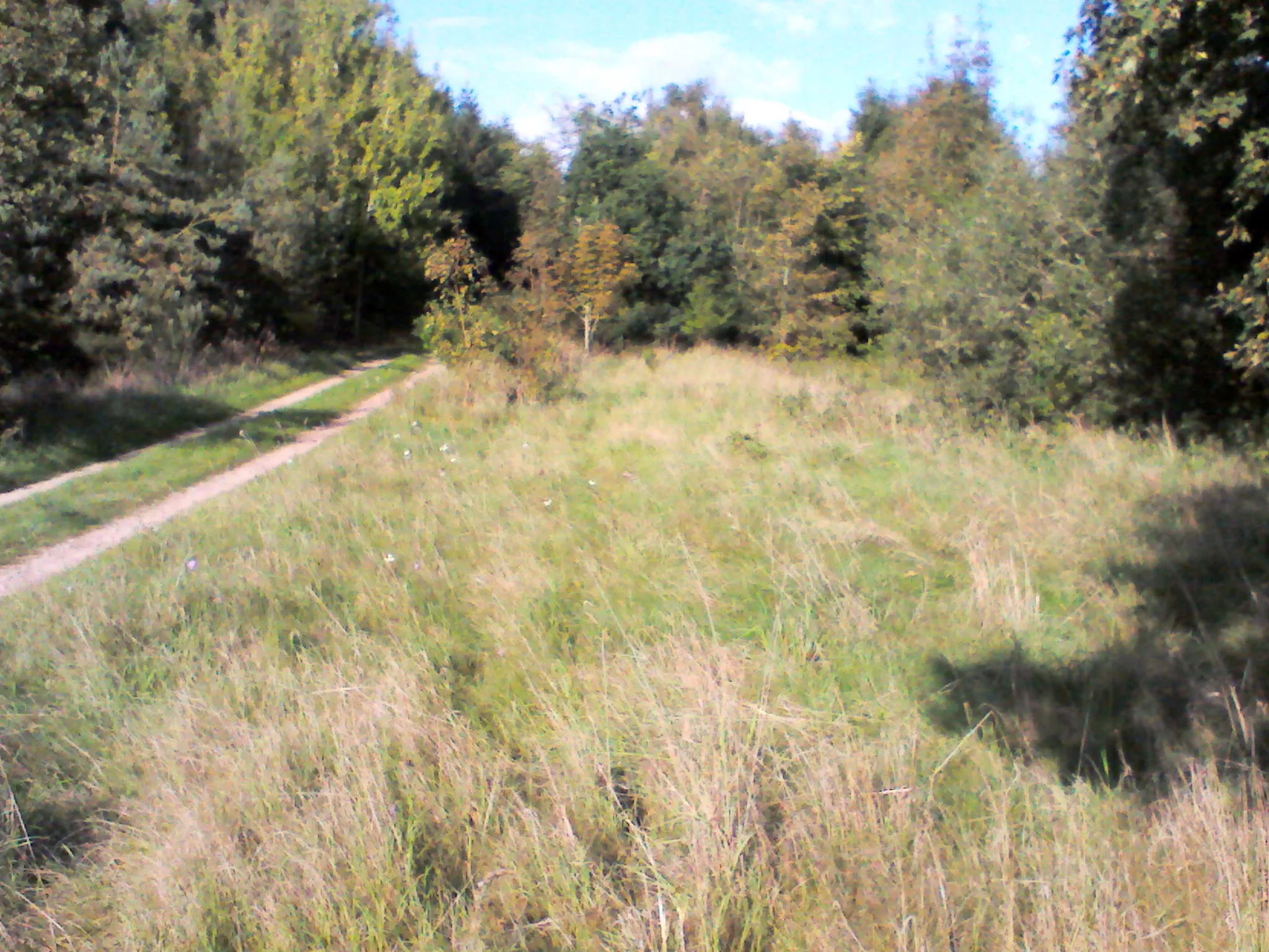 Photo showing: Hørve-Værslev-banens tracé th. for grusvejen NØ for Kaldred Station