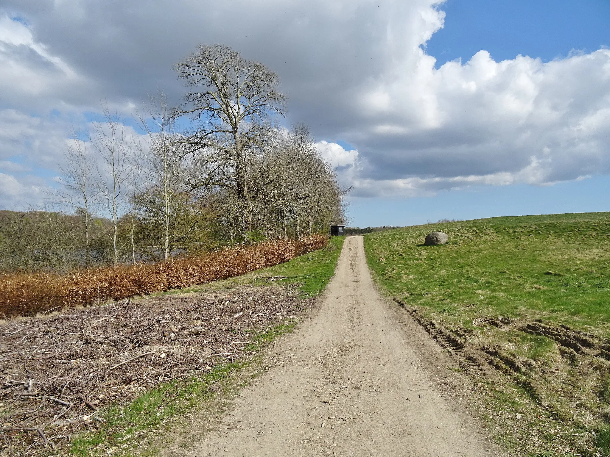 Photo showing: Walking path at Skjoldenæsholm in Denmark. It is a part of the E6 European long distance path between Turkey and Finland.