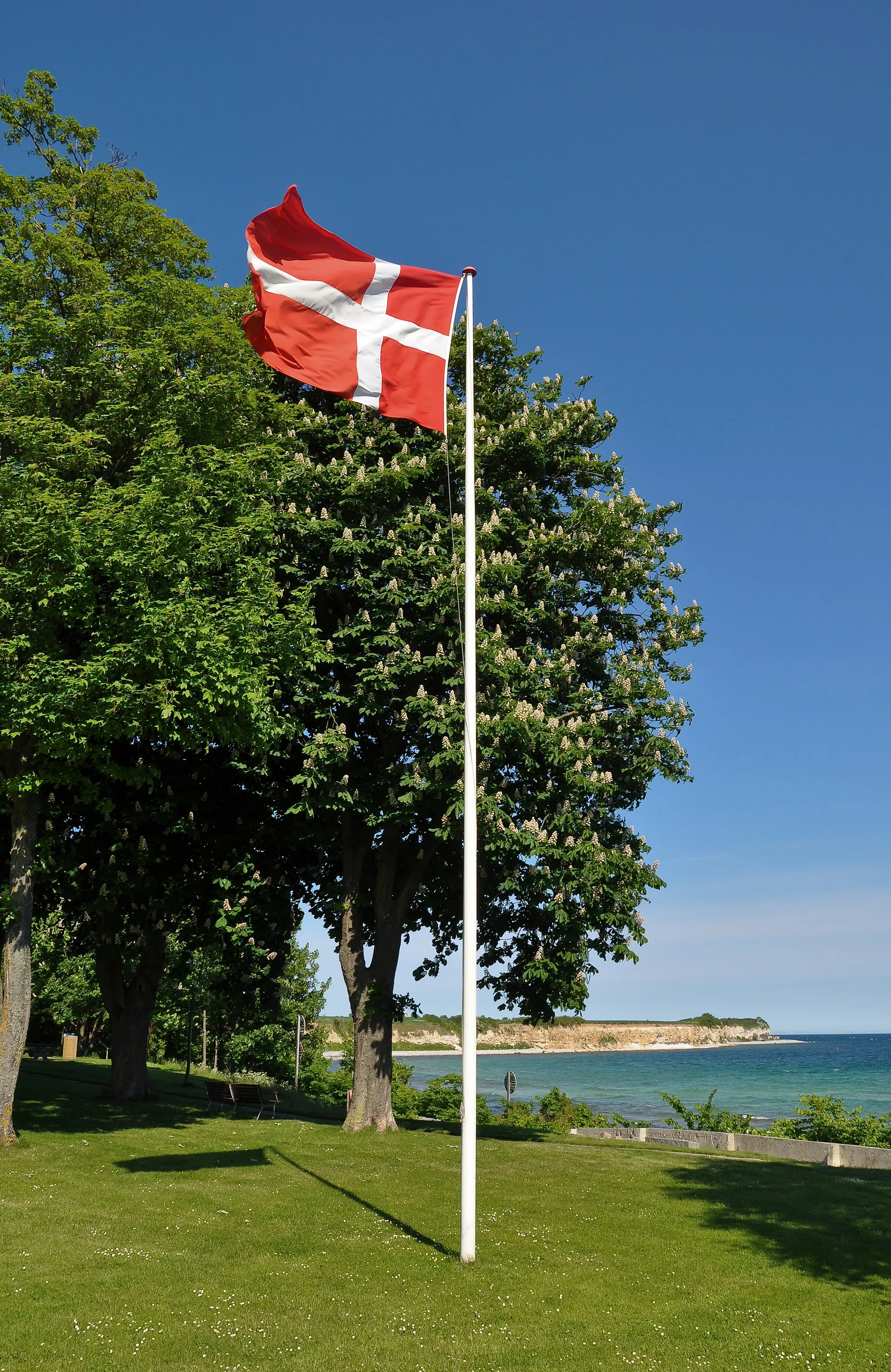 Photo showing: A flagpole with the Dannebrog near Rødvig Beach on Stevns, Denmark. The Cliff of Stevns (Stevns Klint) is seen in the background.