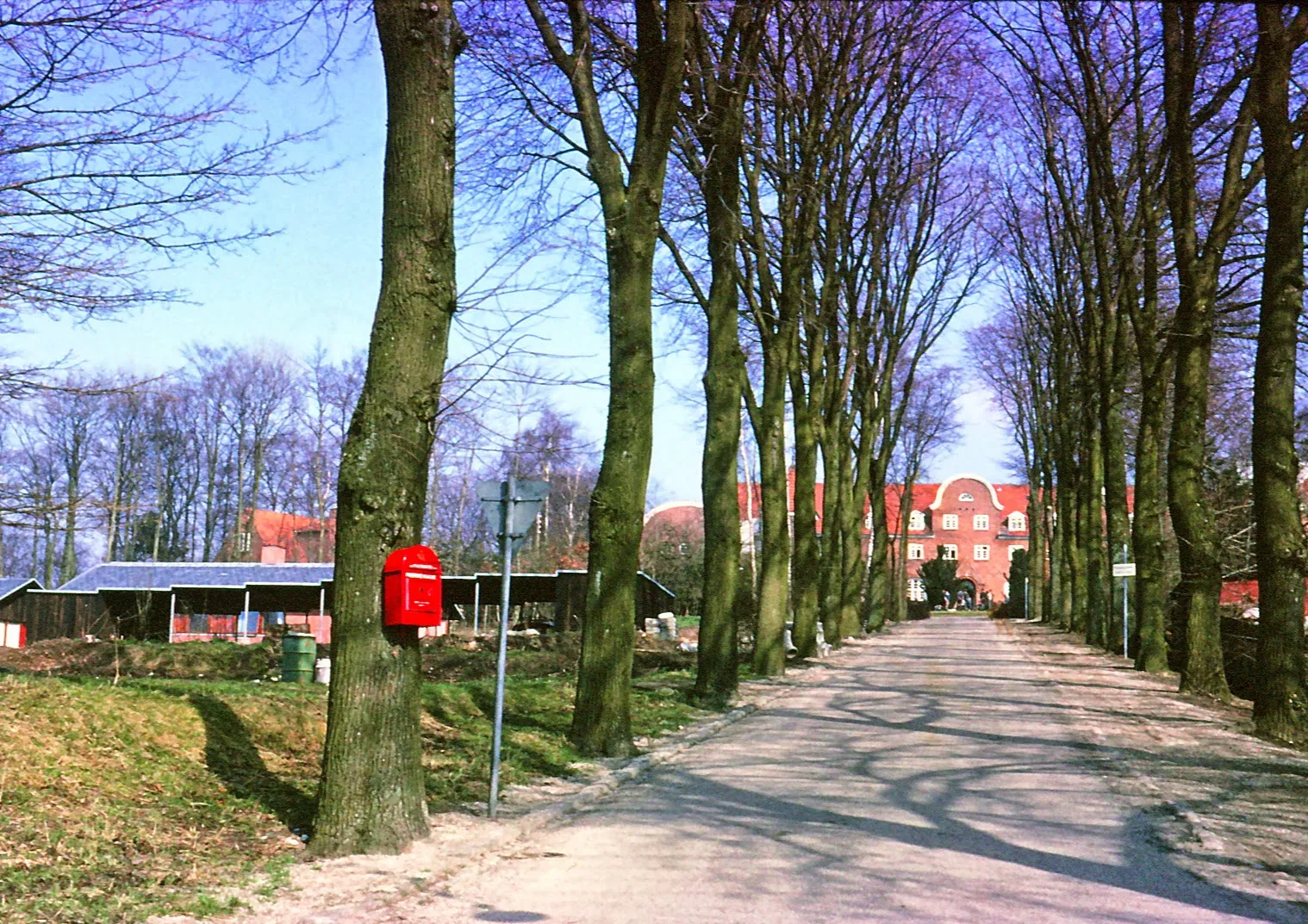 Photo showing: Billedet er taget af Allé'en op til Roskilde Højskole i 1966.