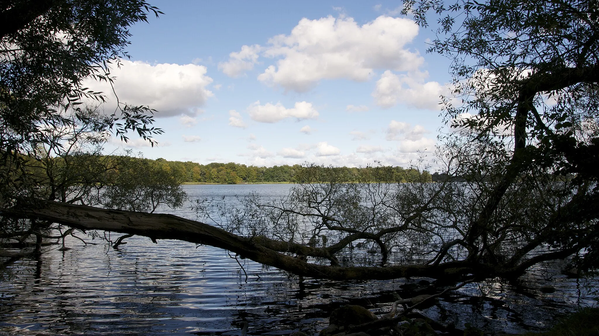 Photo showing: From a lovely autumn day around the lake at "Sorø Sø"