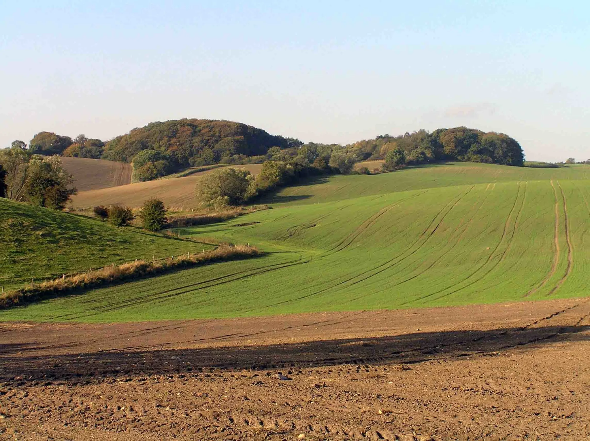 Photo showing: View west from the earliest hall site.