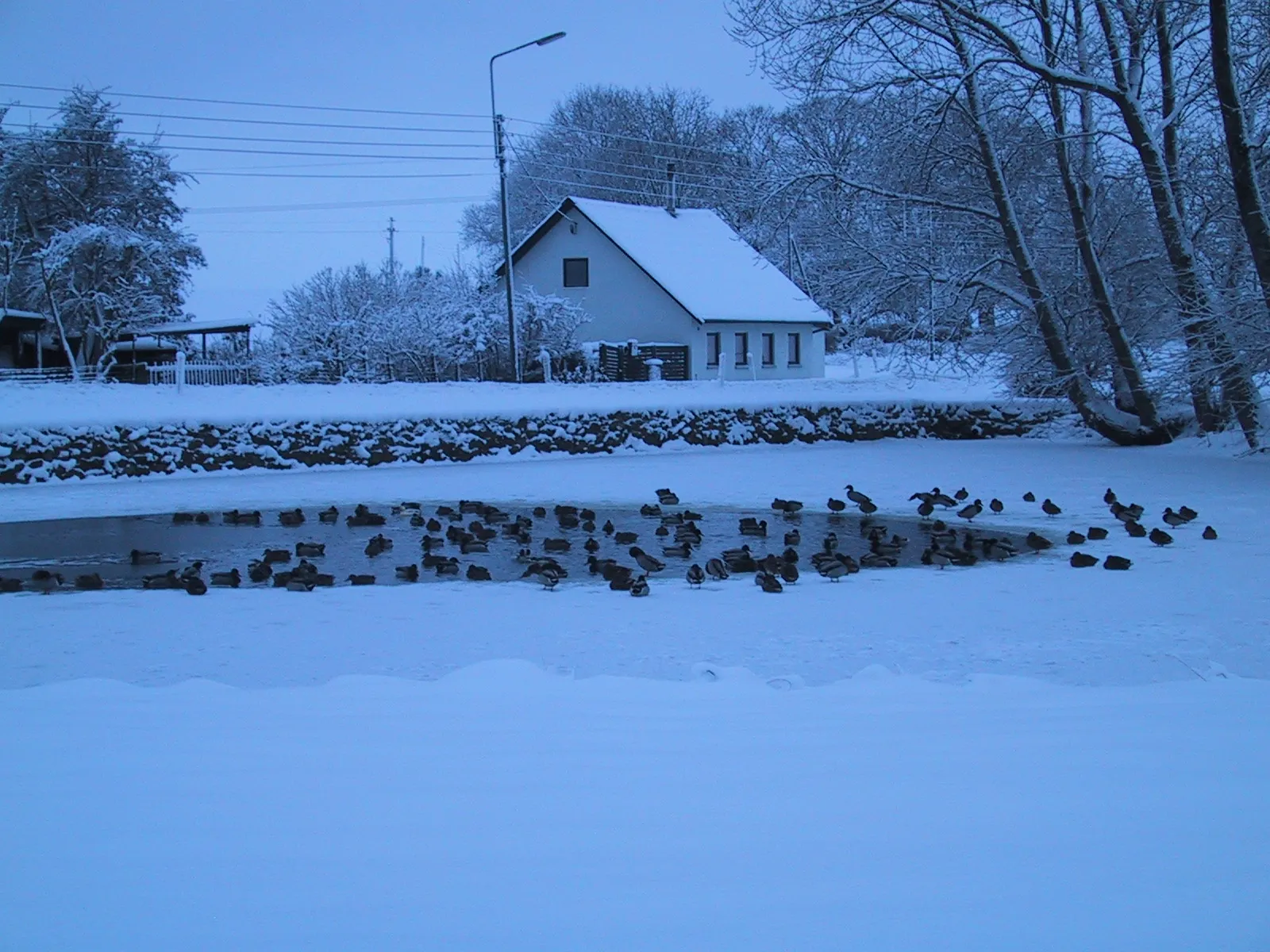 Photo showing: Kongsted gadekær.Vinter