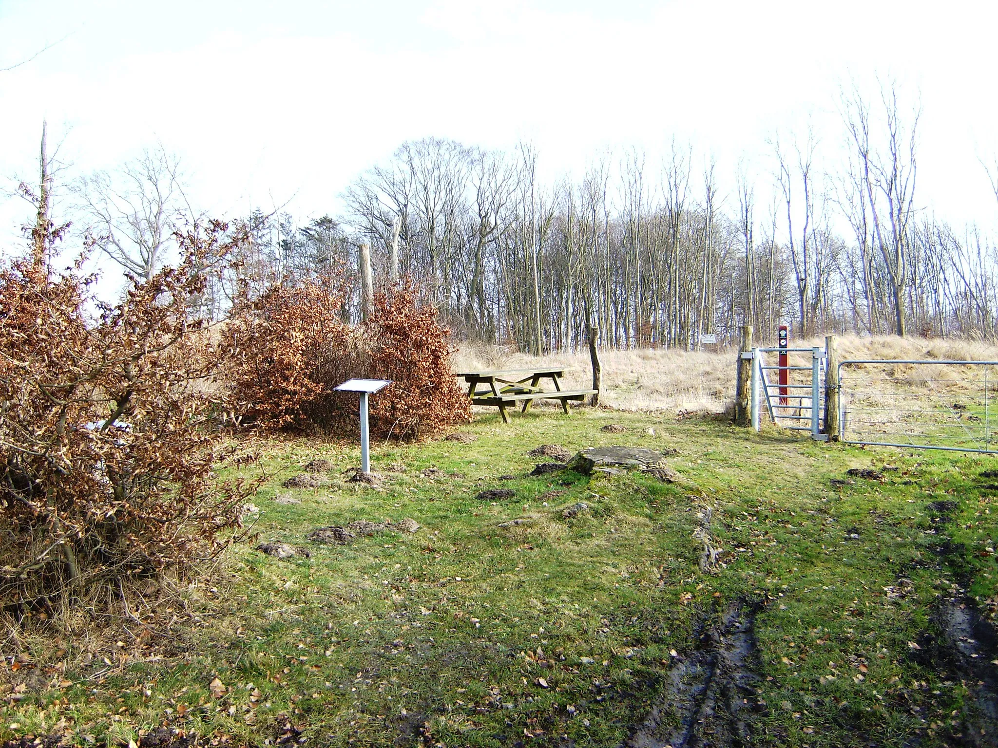 Photo showing: Højene (Godsted sogn) er en samling på 43 bronzealdergrave fra 1000-500 f.Kr.

Som 43 graves from 1000-500 B.C (Denmark, Lolland)