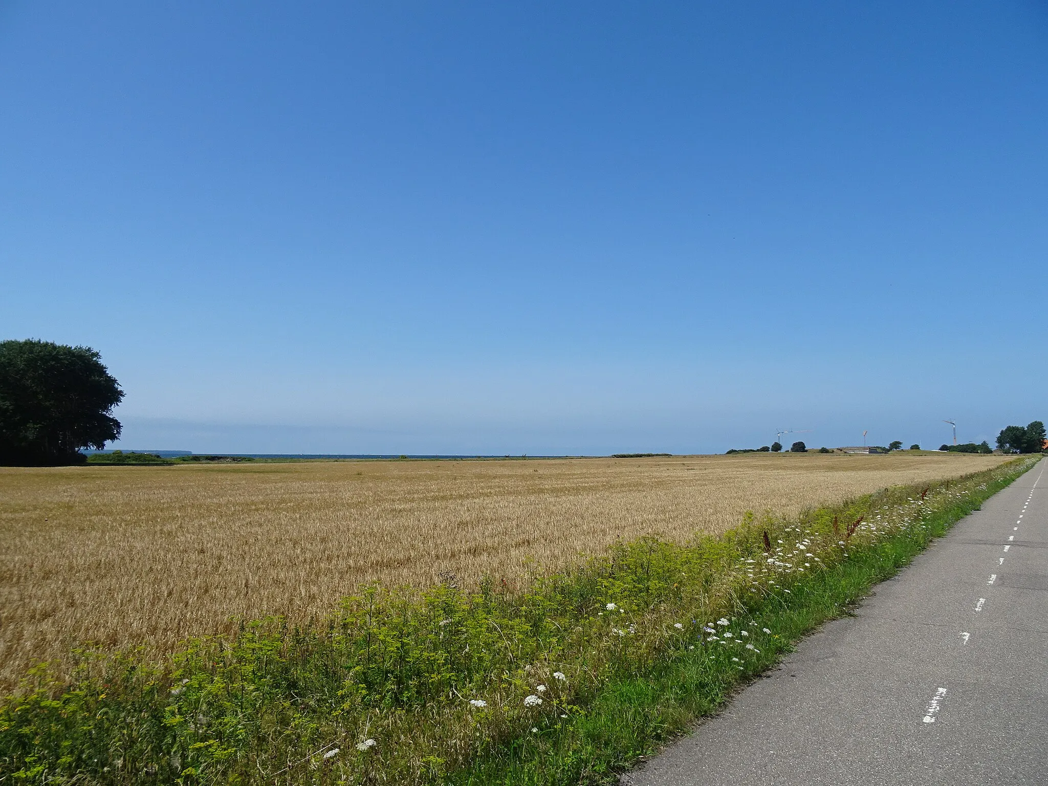 Photo showing: Field at the road Brovejen on the Masnedø in Denmark.