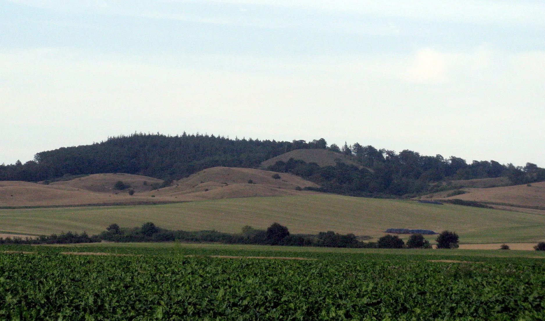 Photo showing: Bjergene (Magleby Sogn) på Møn , Denmark