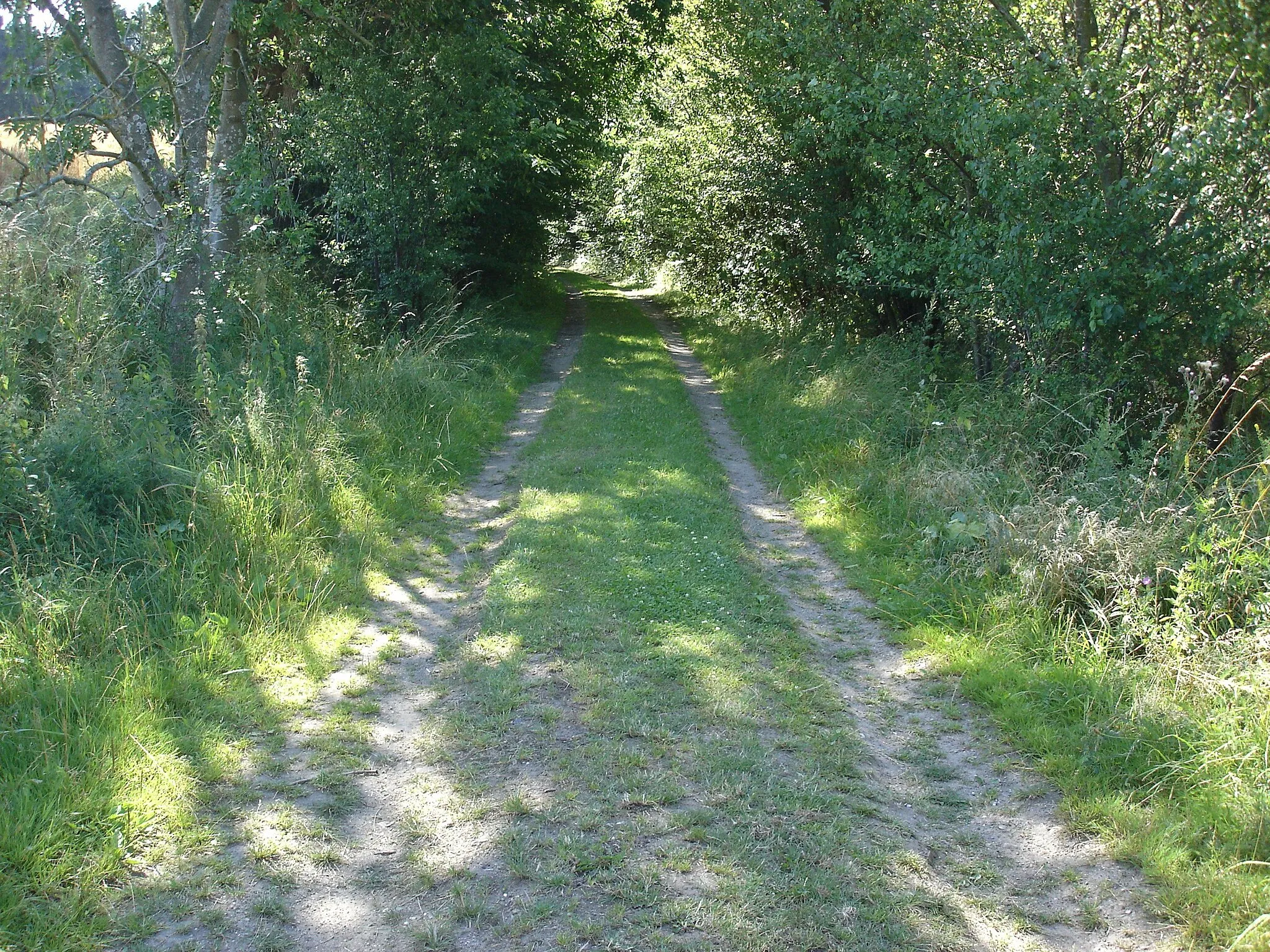 Photo showing: Mernbanens tracé i den nordlige ende af Faksinge Skov, set mod S