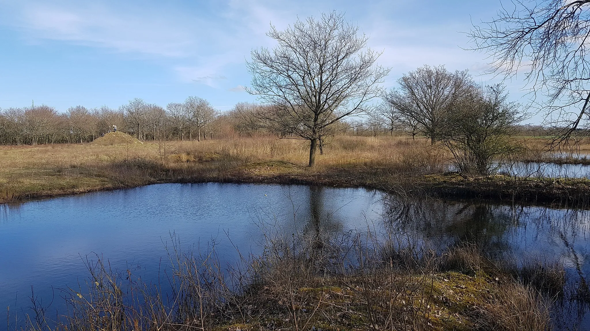 Photo showing: Lustrup Fællesjord