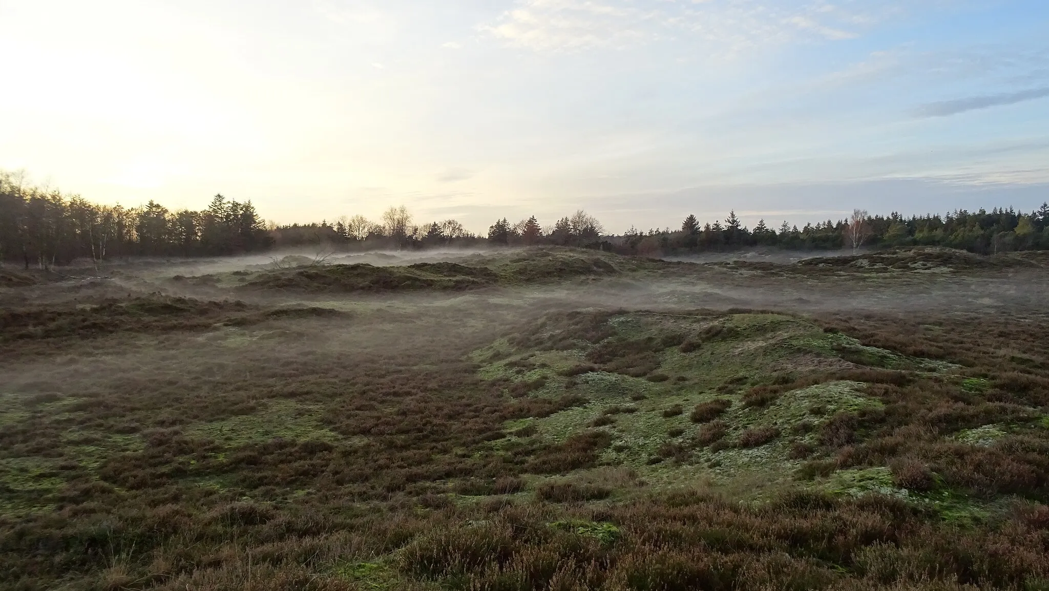 Photo showing: Det sydvestlige hjørne af heden en diset aften