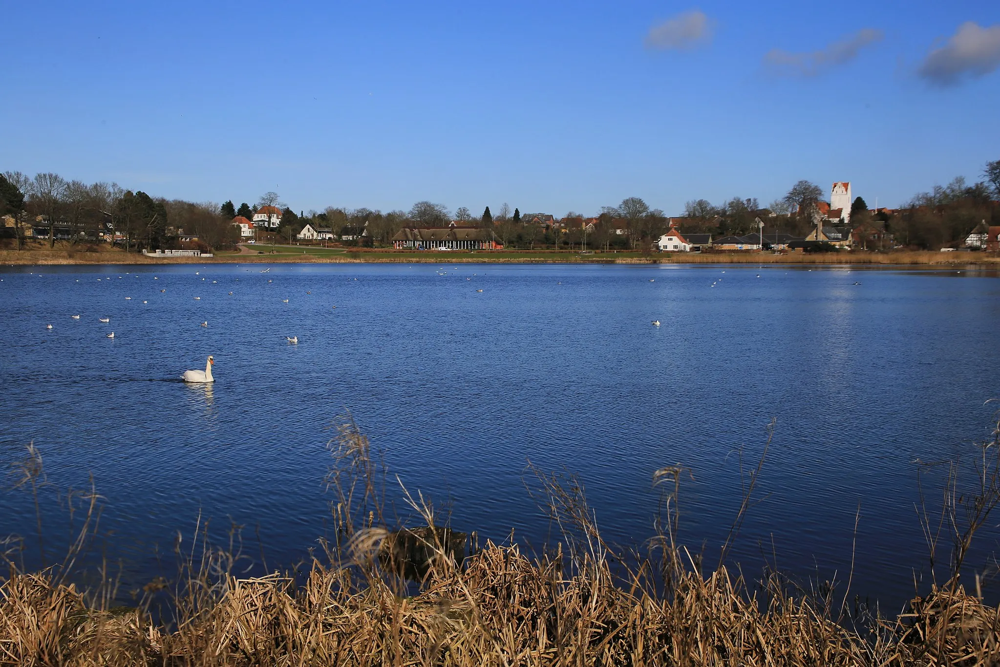 Photo showing: Ringe Lake as seen towards east from the midway path, in Ringe, Funen, Denmark.