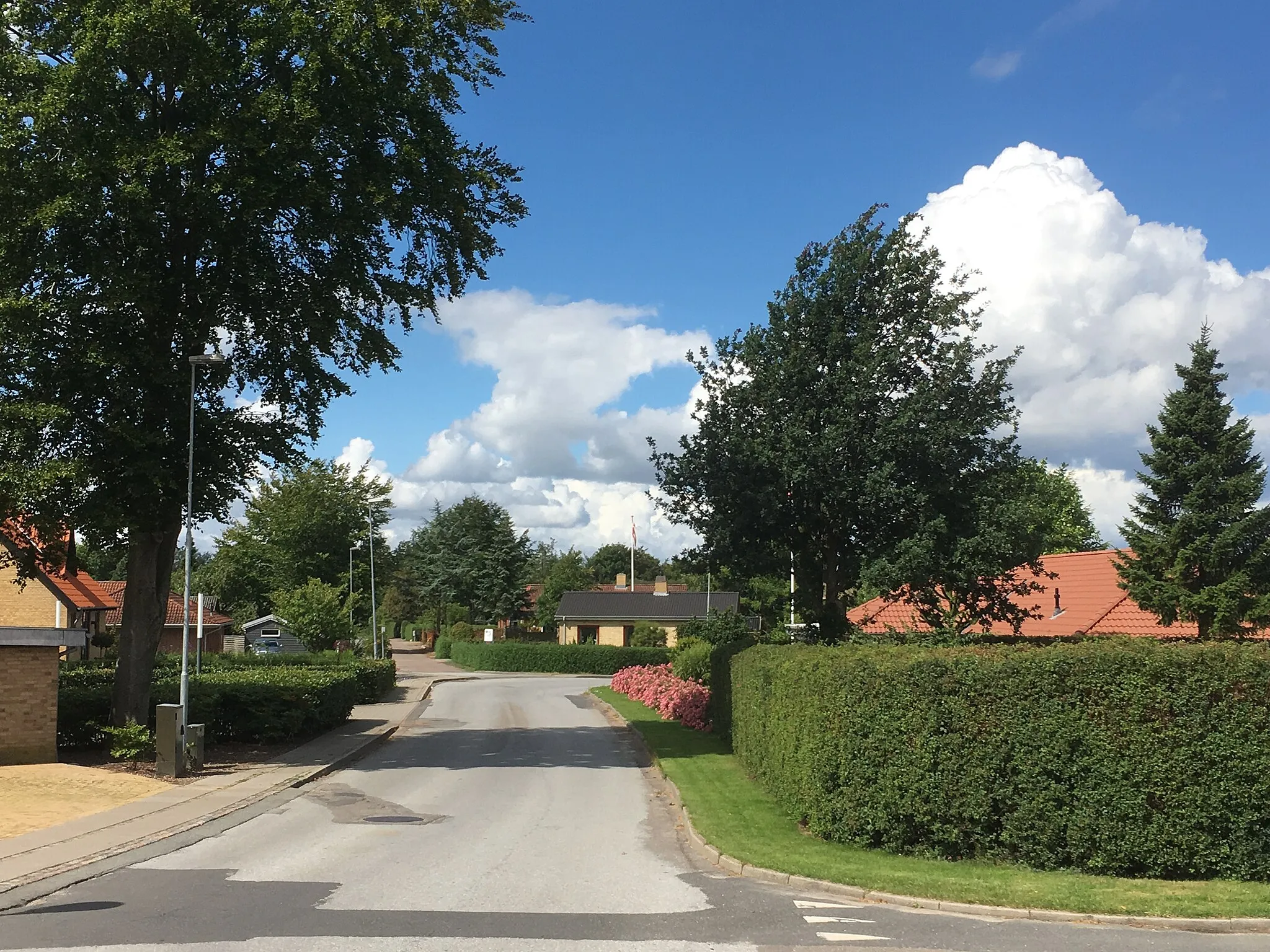 Photo showing: Modern housing in Ejby