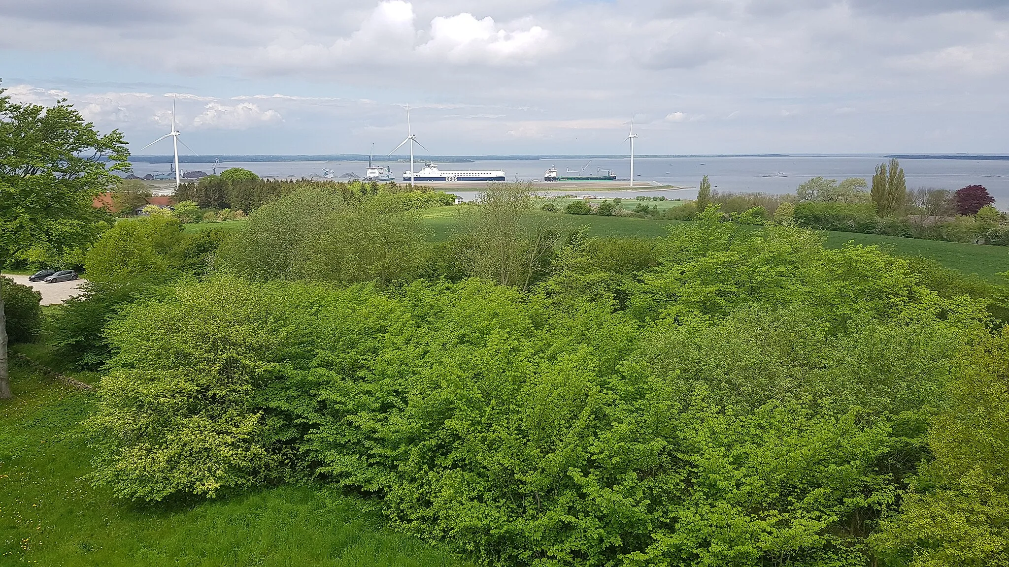 Photo showing: Udsigt fra Munkebotårnet over Odense Fjord