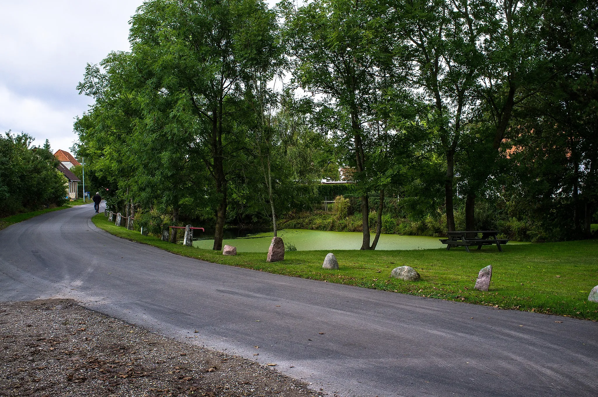 Photo showing: Village pond in Aunslev