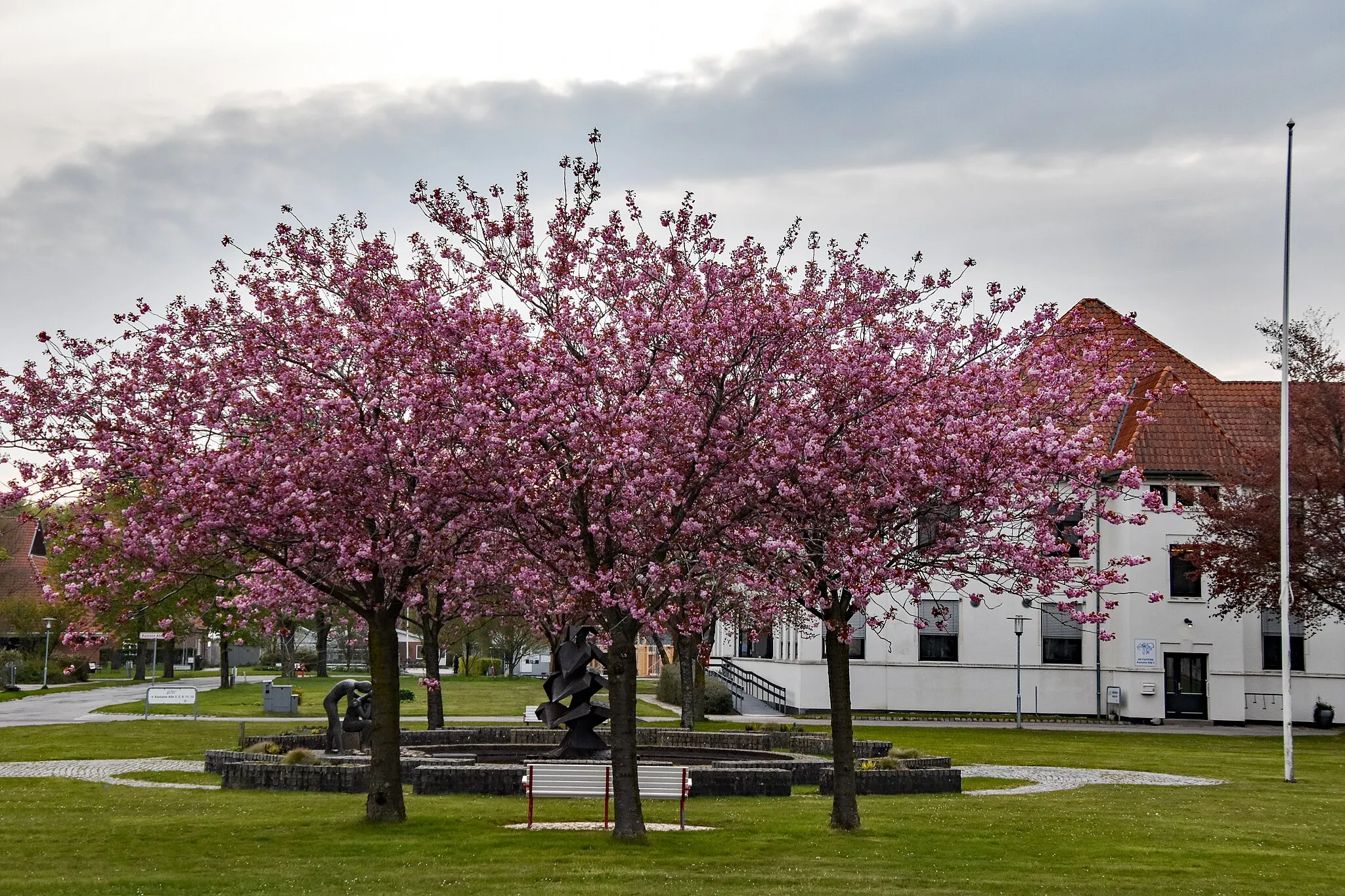 Photo showing: Ribelund, Tingstedet med udsprungne kirsebærtræer, 2023