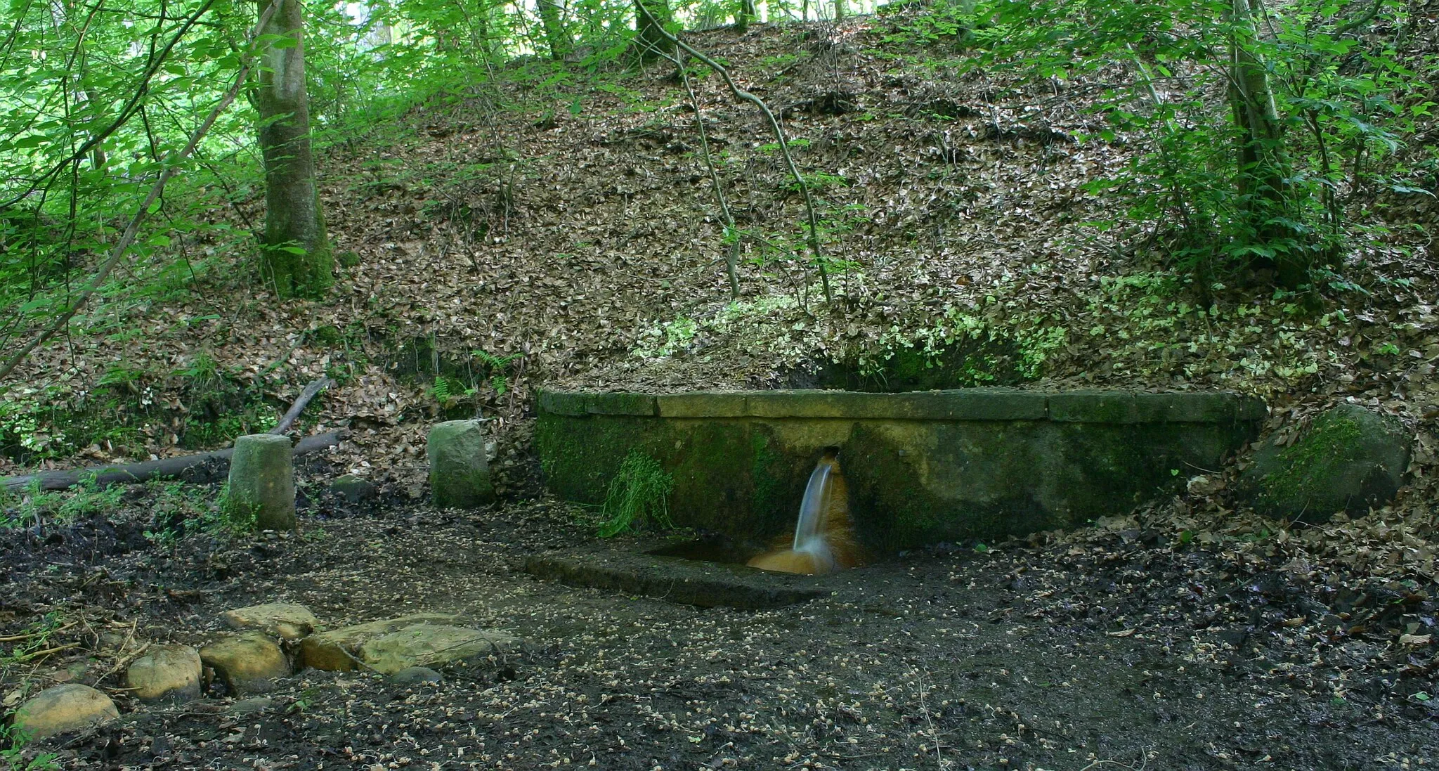 Photo showing: Marielundskilden.A holy well in the forest of Marielund,Kolding,Denmark.