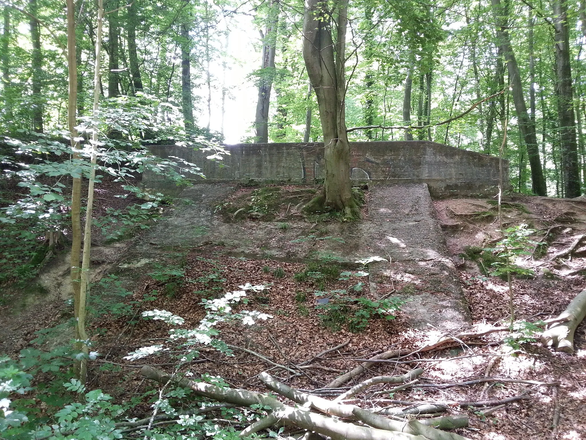 Photo showing: Afspærringsanlæg anlagt af tysker under anden verdenskrig.  Afspærringen stod på begge sider af det nu nedlagte Troldhedebane.