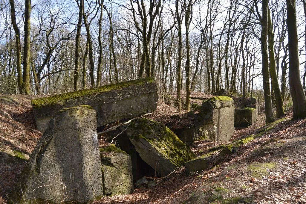 Photo showing: Det sprængte Gammelskov Batteri