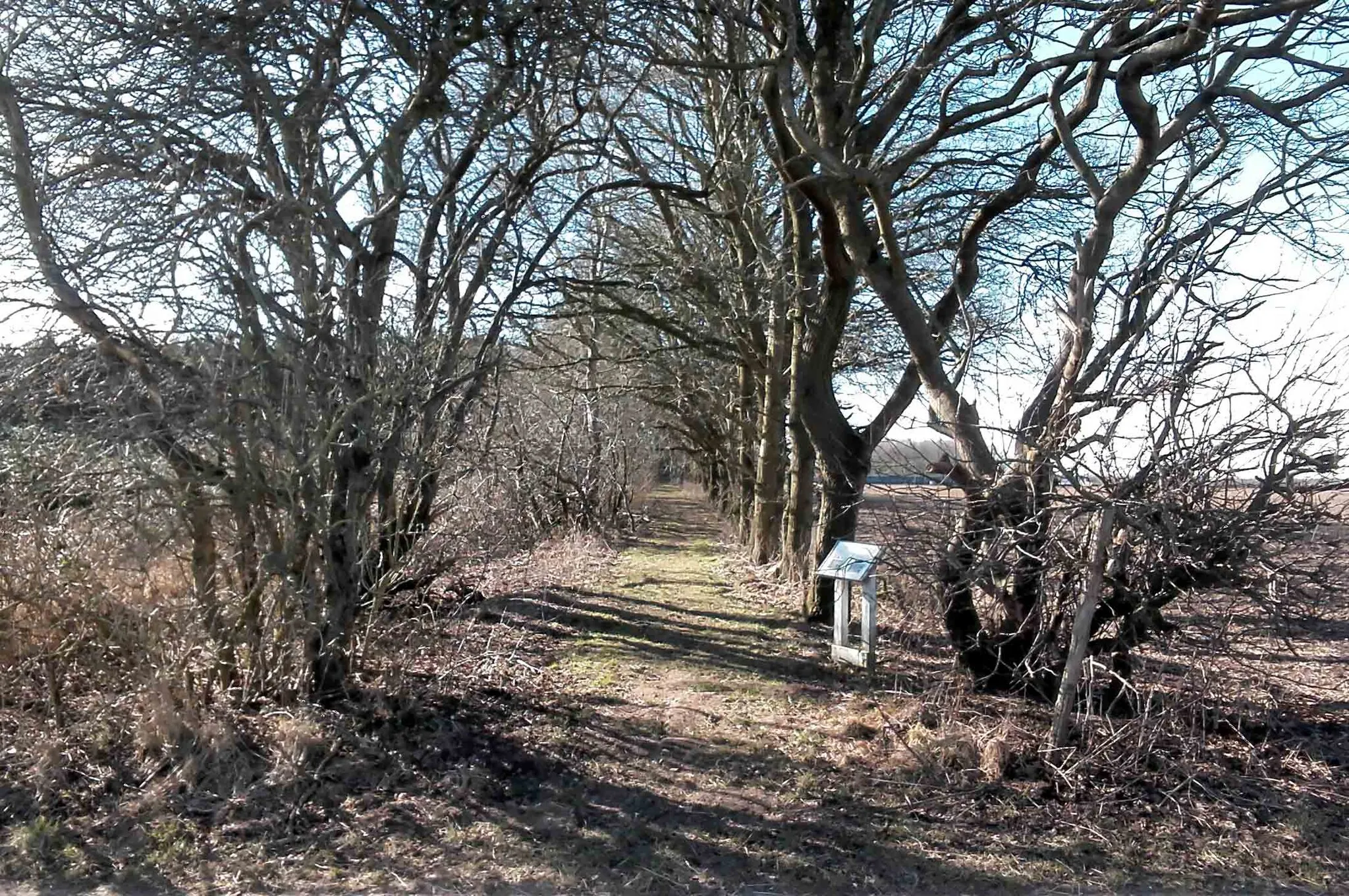 Photo showing: Haderslev Amtsbaners tracé fra Skausvej i Over Jerstal