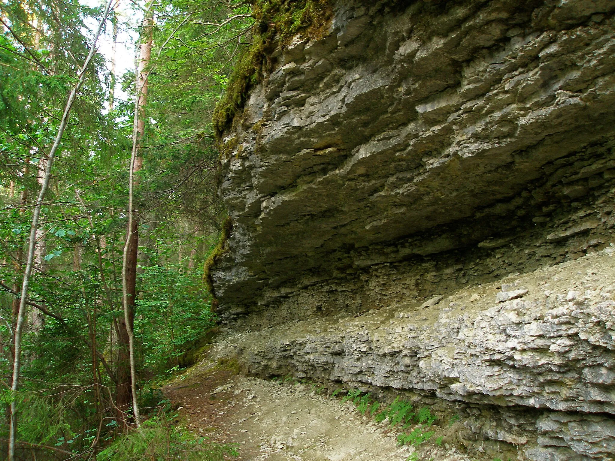 Photo showing: Limestone cliff in Vahtrepa, Hiiumaa, Estonia.