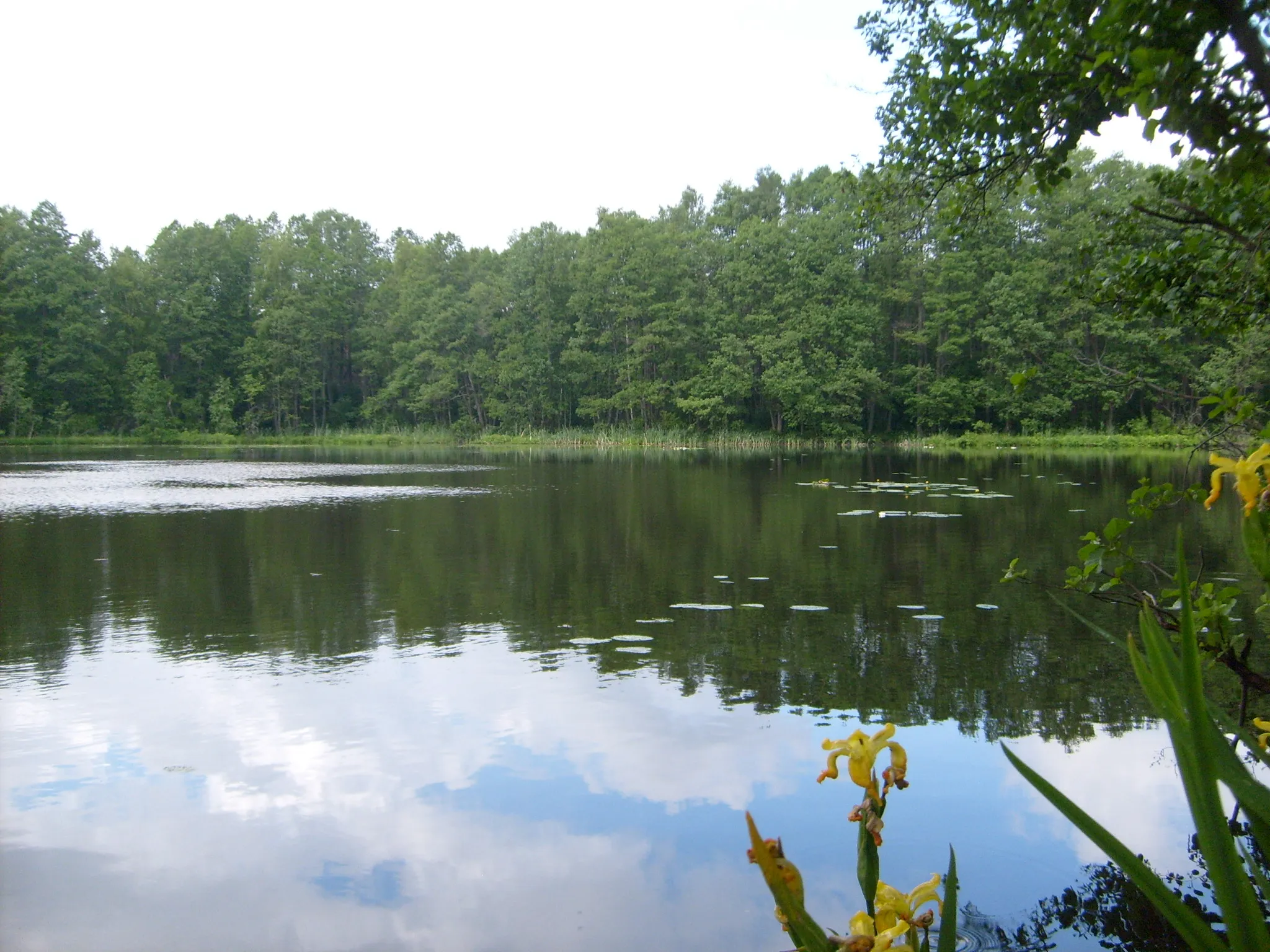 Photo showing: Soodajärv