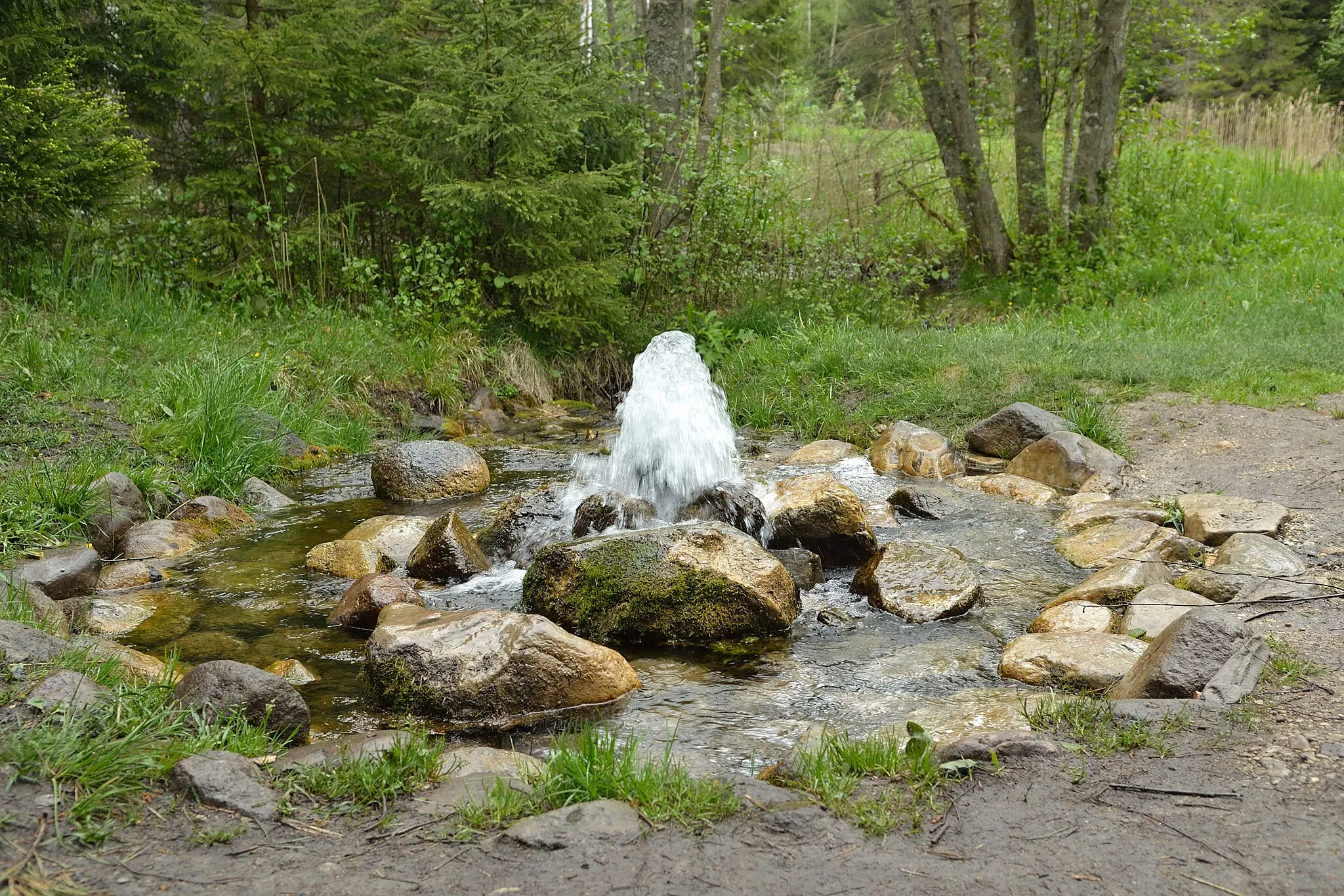 Photo showing: Man-made spring on Endla Nature Reserve
