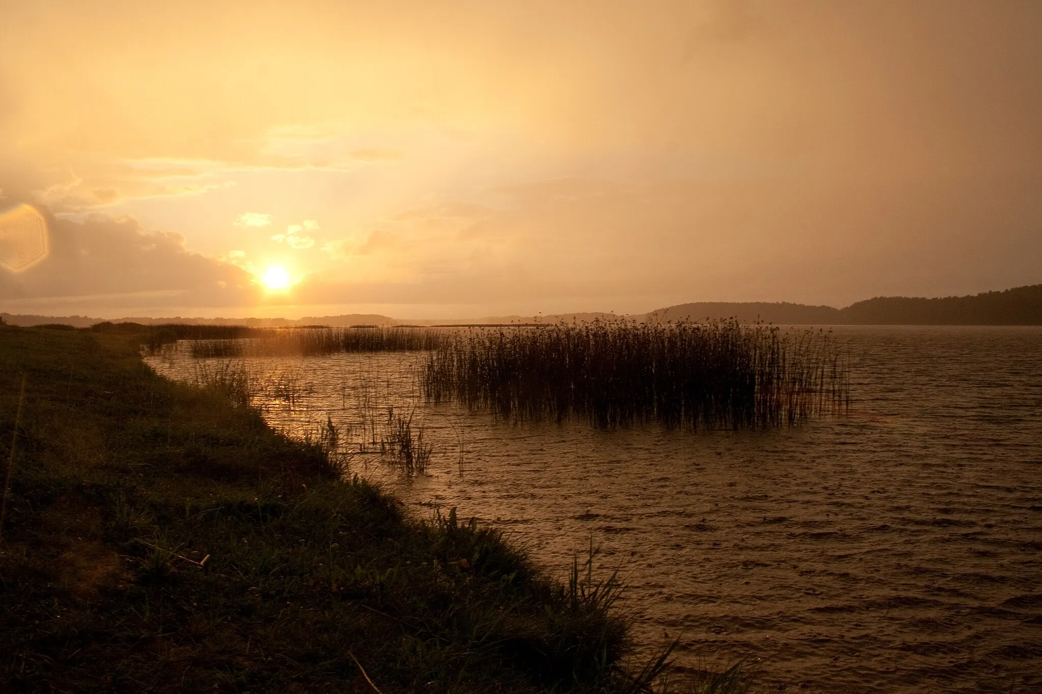 Photo showing: Kõrvemaa maastikukaitseala. Paunküla veehoidla augustiõhtul.