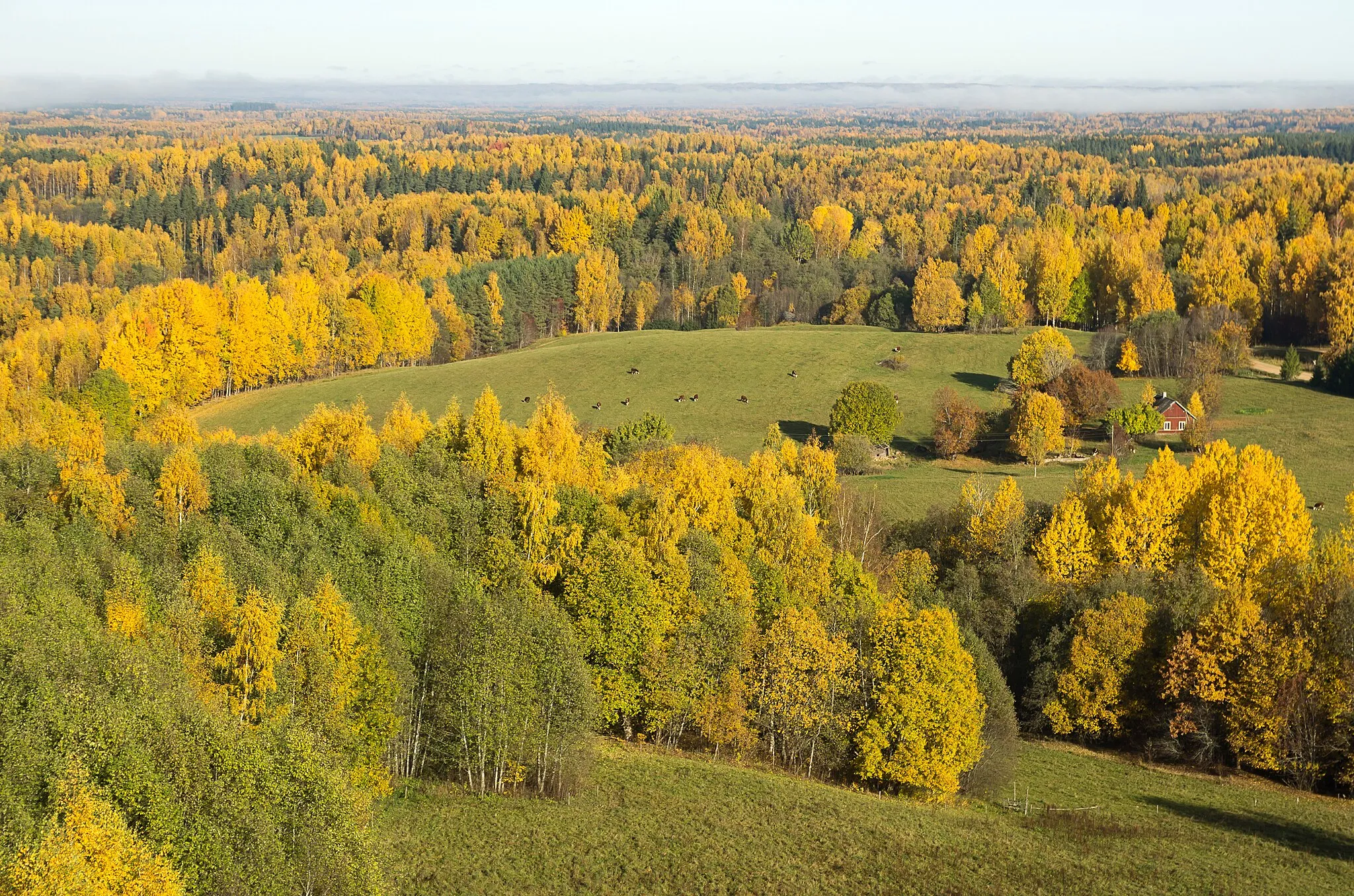 Photo showing: This is a photo of natural heritage of Estonia number