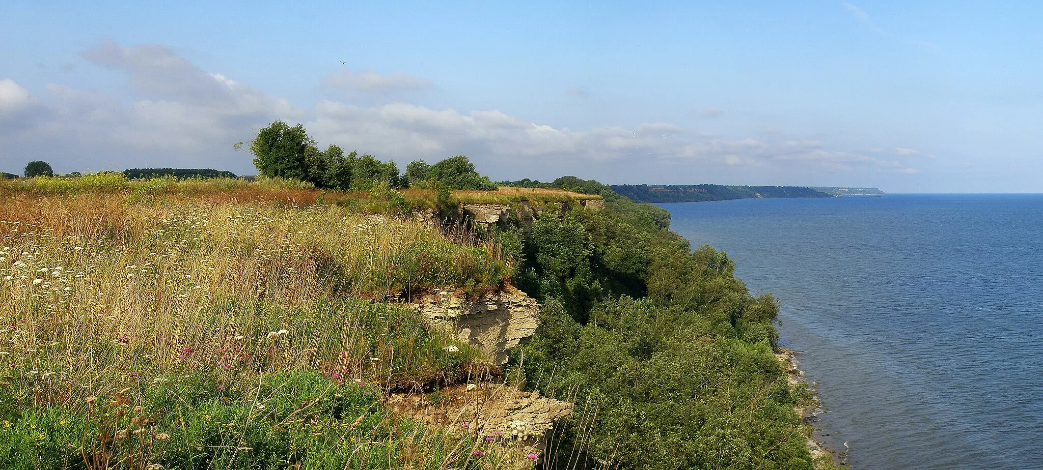 Photo showing: Päite cliff, part of Baltic Klint, near Sillamäe, Estonia. (h=40 m a.s.l)