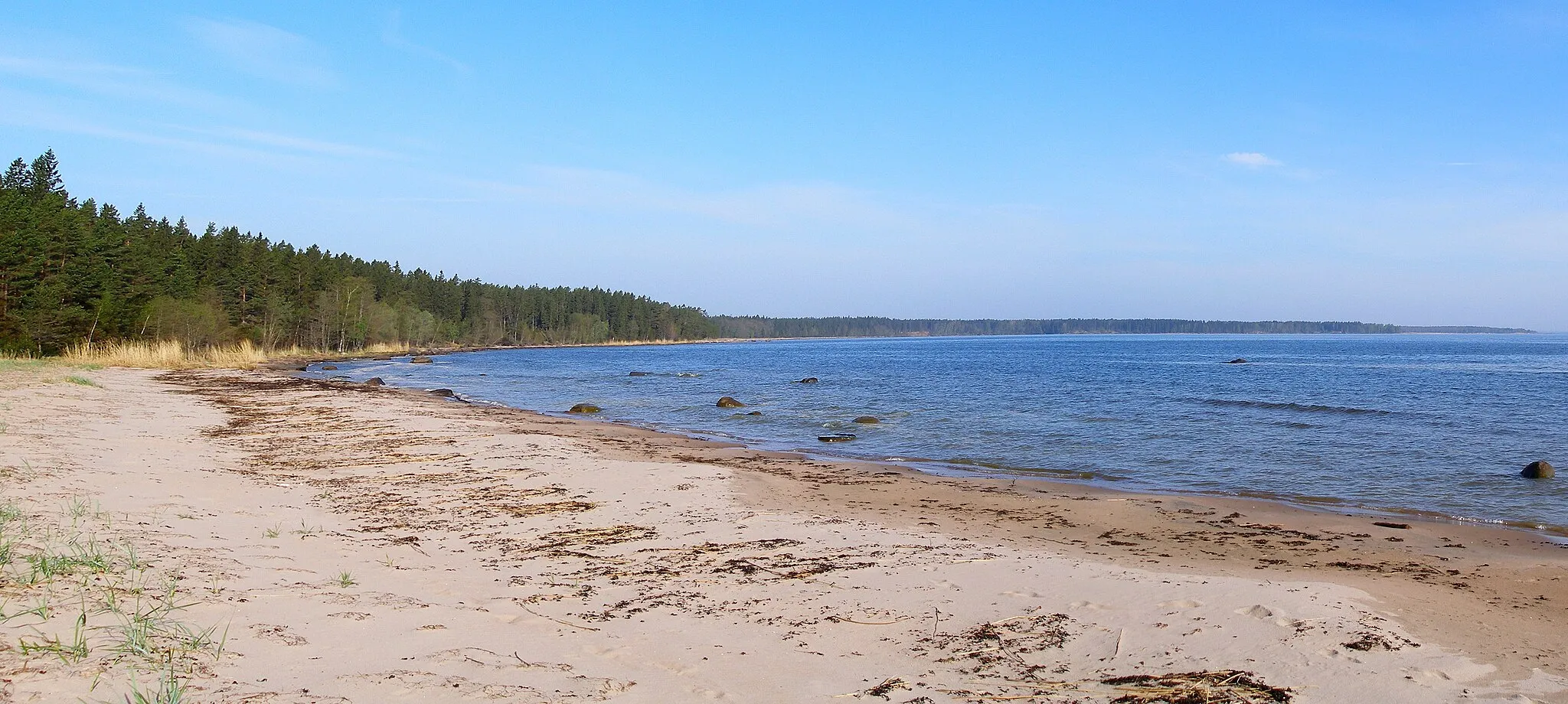 Photo showing: Naskali bay, Gulf of Finland,Lahemaa National Park, Estonia.