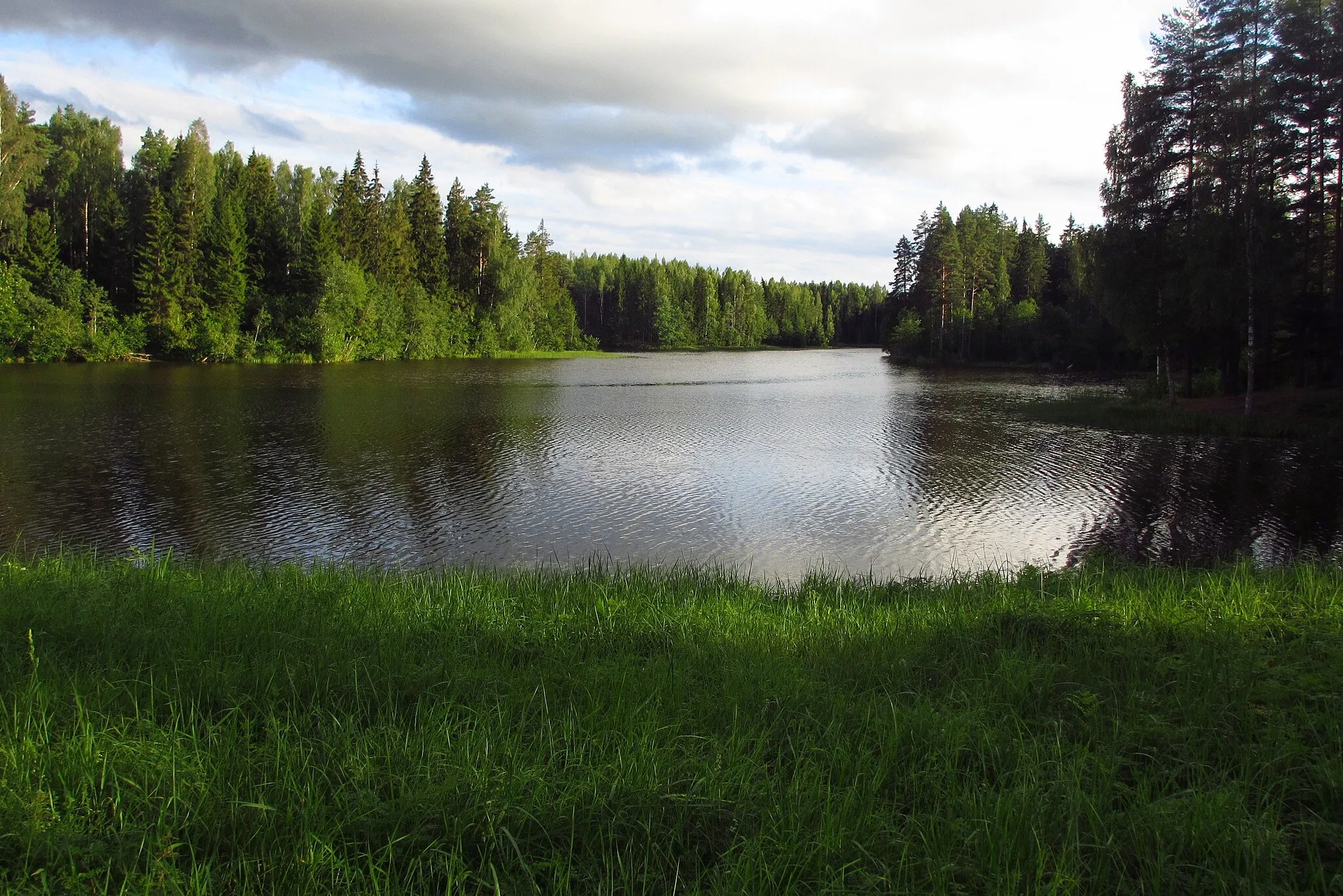 Photo showing: Vaade Rae järve põhjakaldalt Pärnumaal