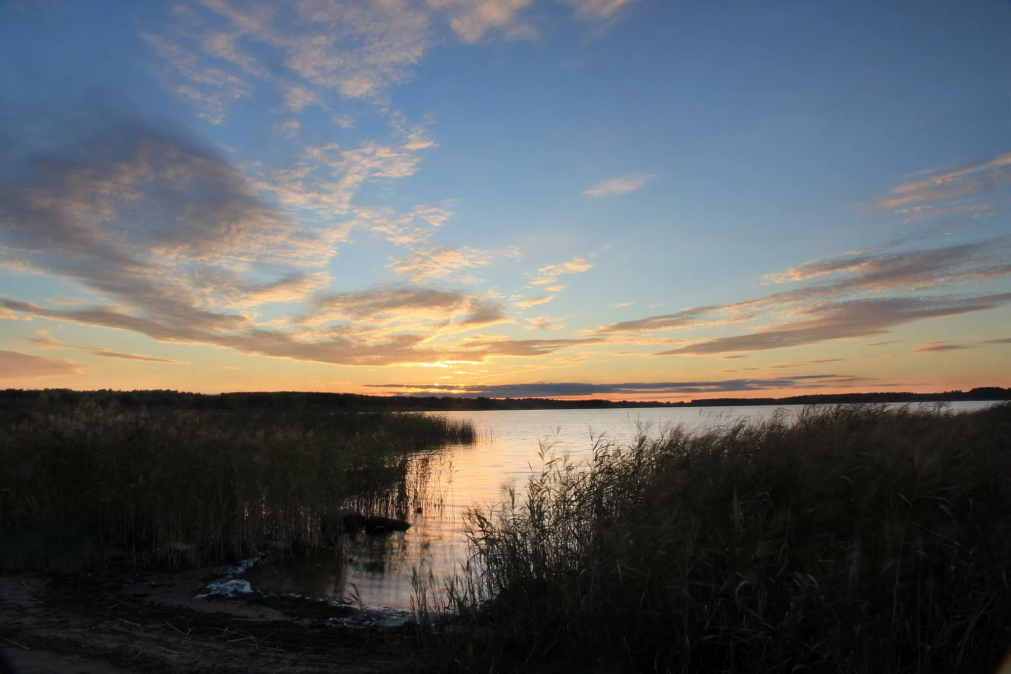 Photo showing: Tamula järv