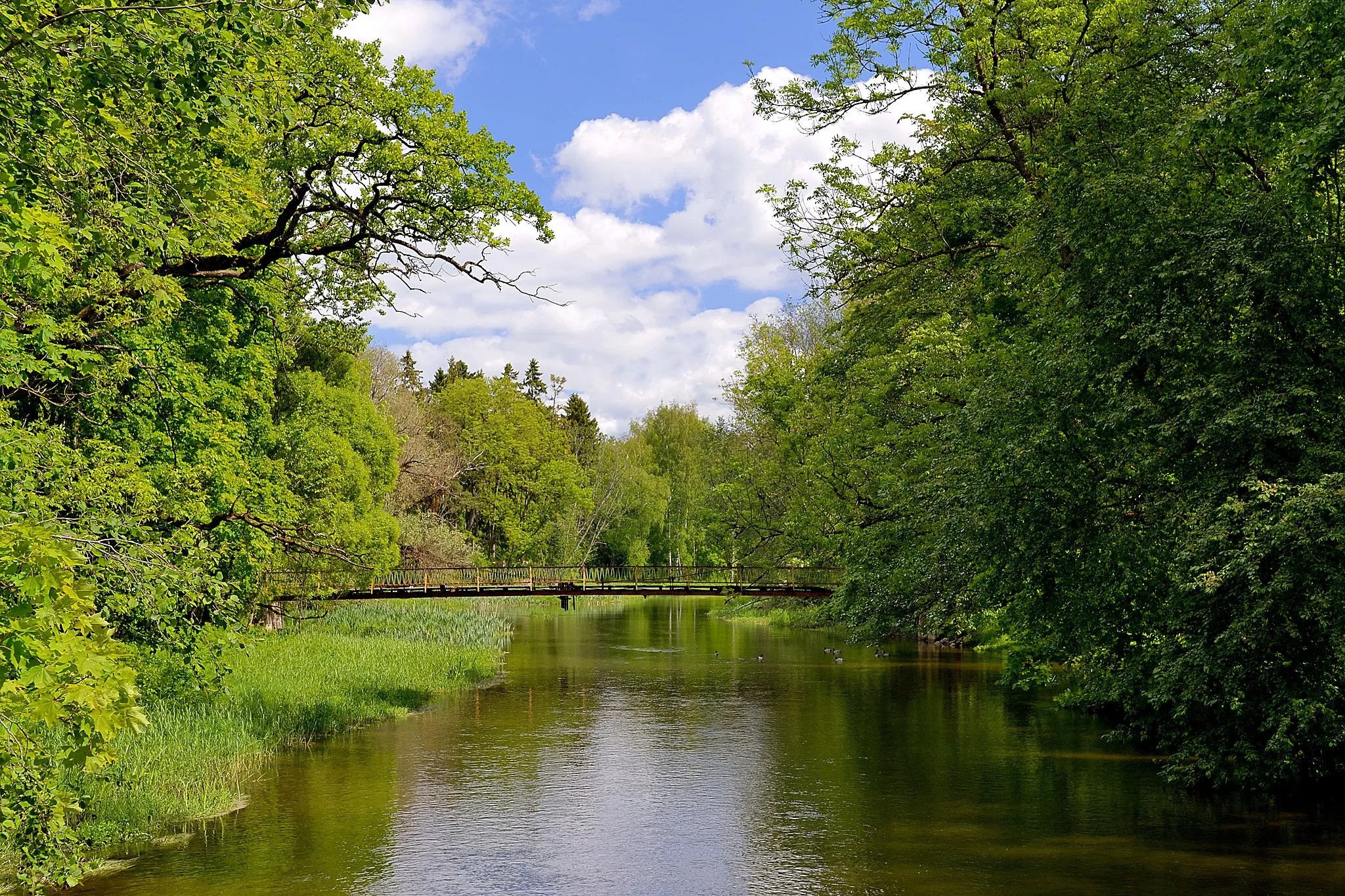 Photo showing: Selja river in Arkna