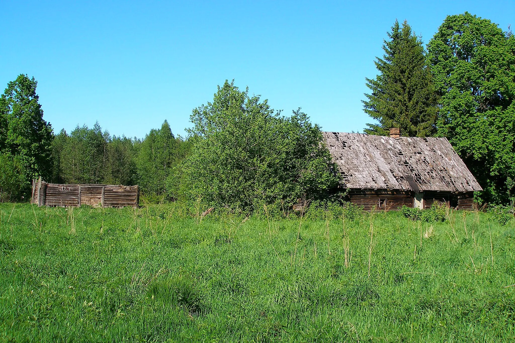 Photo showing: Rehessaare, a derelict forest ranger farm in Estonia. Nowadays part of Alam-Pedja Nature Reserve.