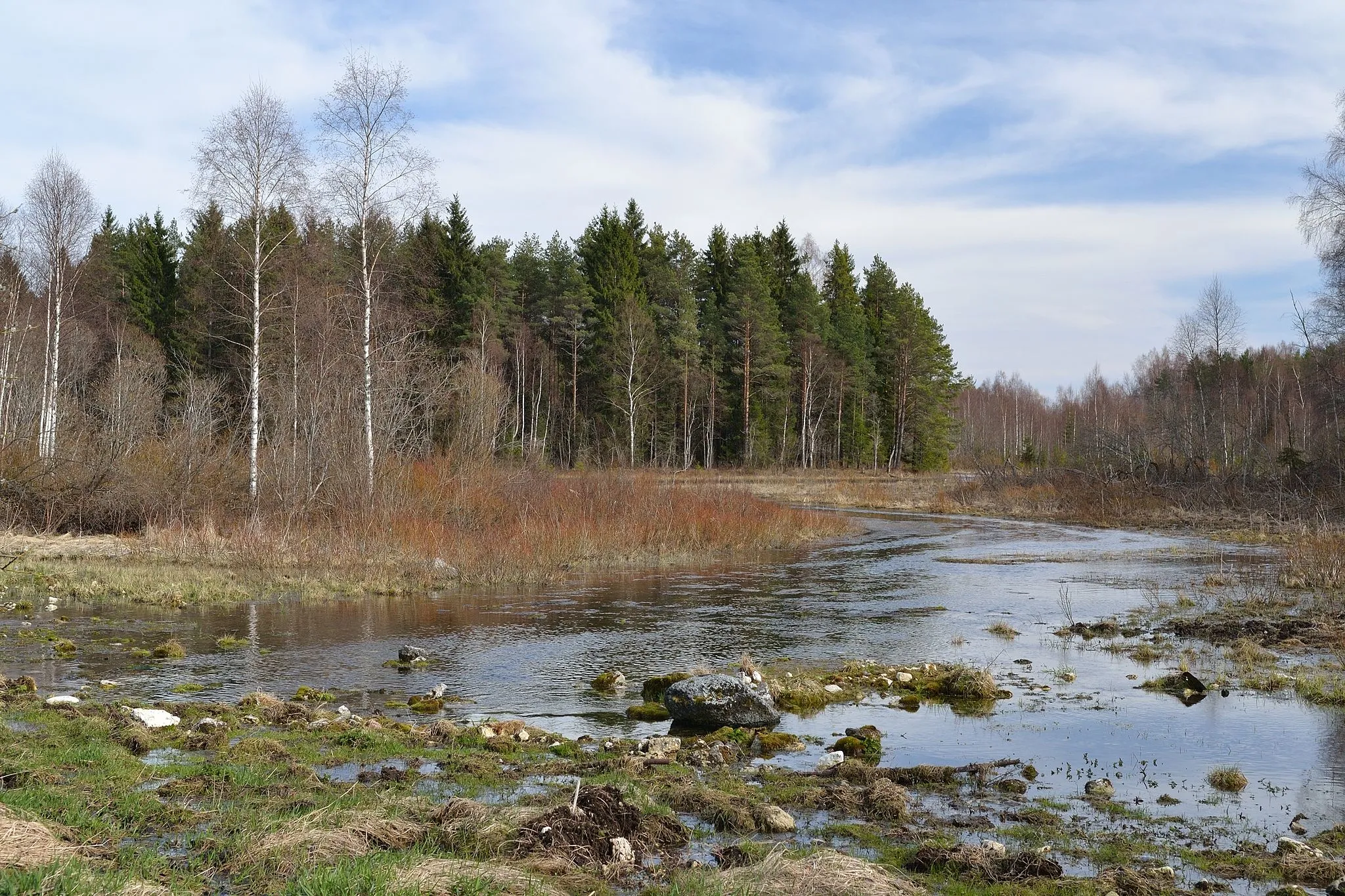 Photo showing: Varangu blue springs, the beginning of Preedi river